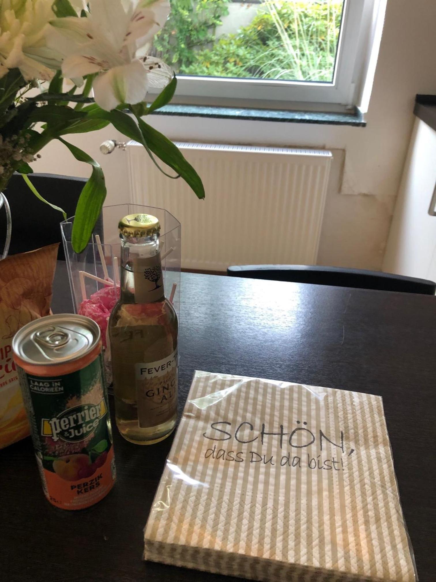 studio e - Quiet central business one bedroom apartment for 3 guests