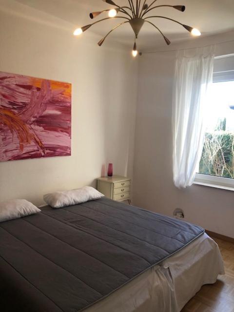 studio e - Quiet central business one bedroom apartment for 3 guests