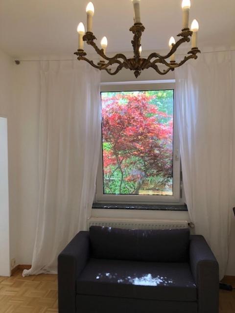 studio e - Quiet central business one bedroom apartment for 3 guests