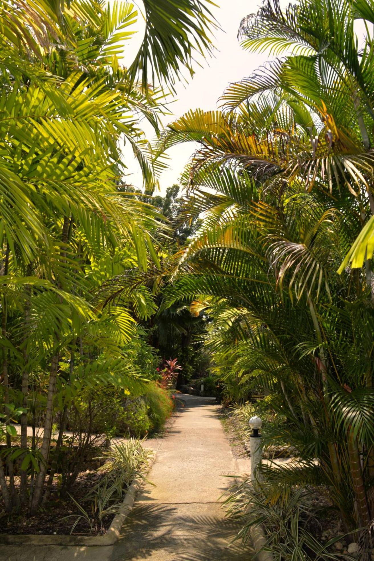 Marcosas Cottages Resort