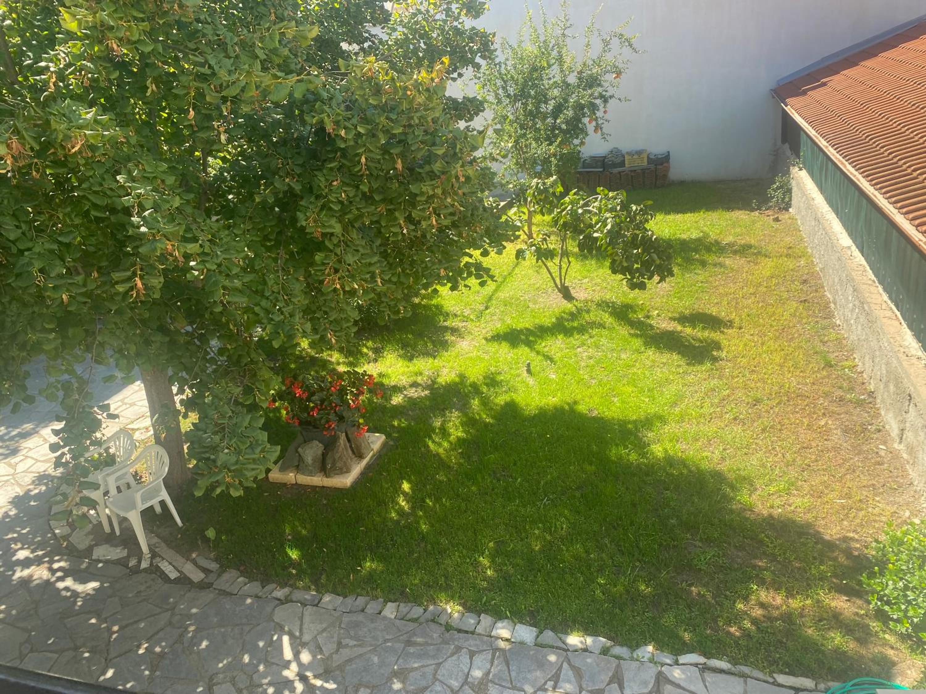 Photo 36