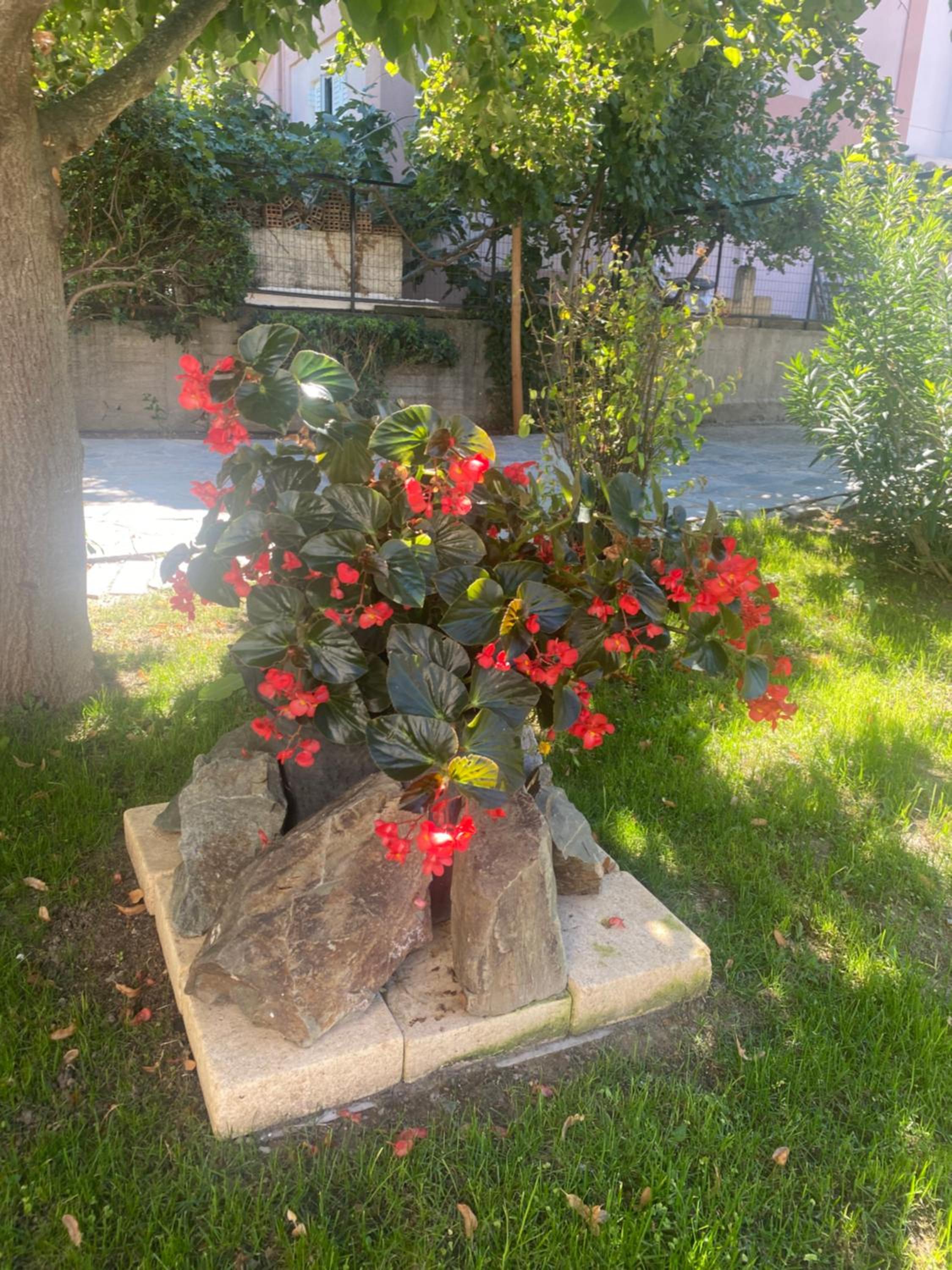 Photo 37