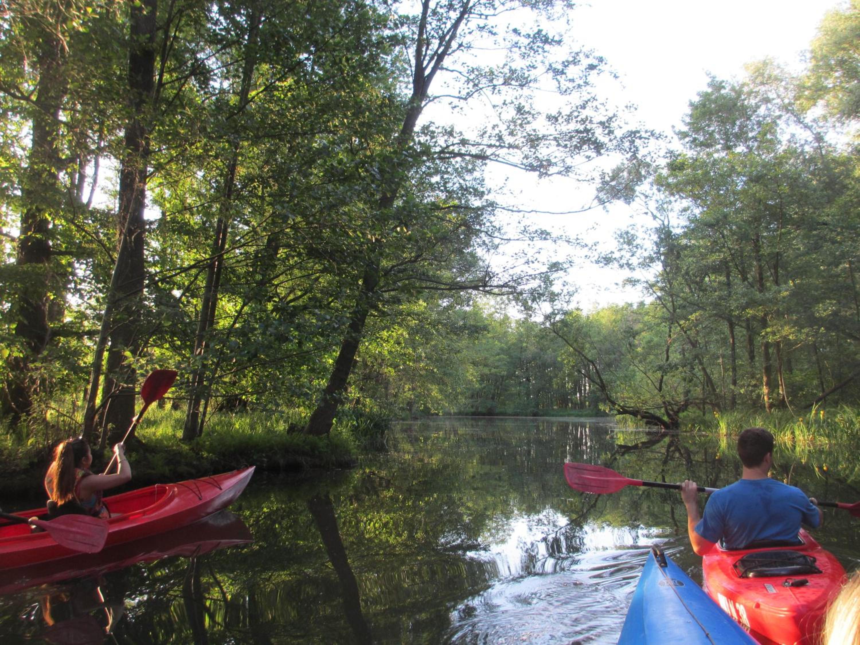 BluGarden Ferienapartments im Spreewald view 4