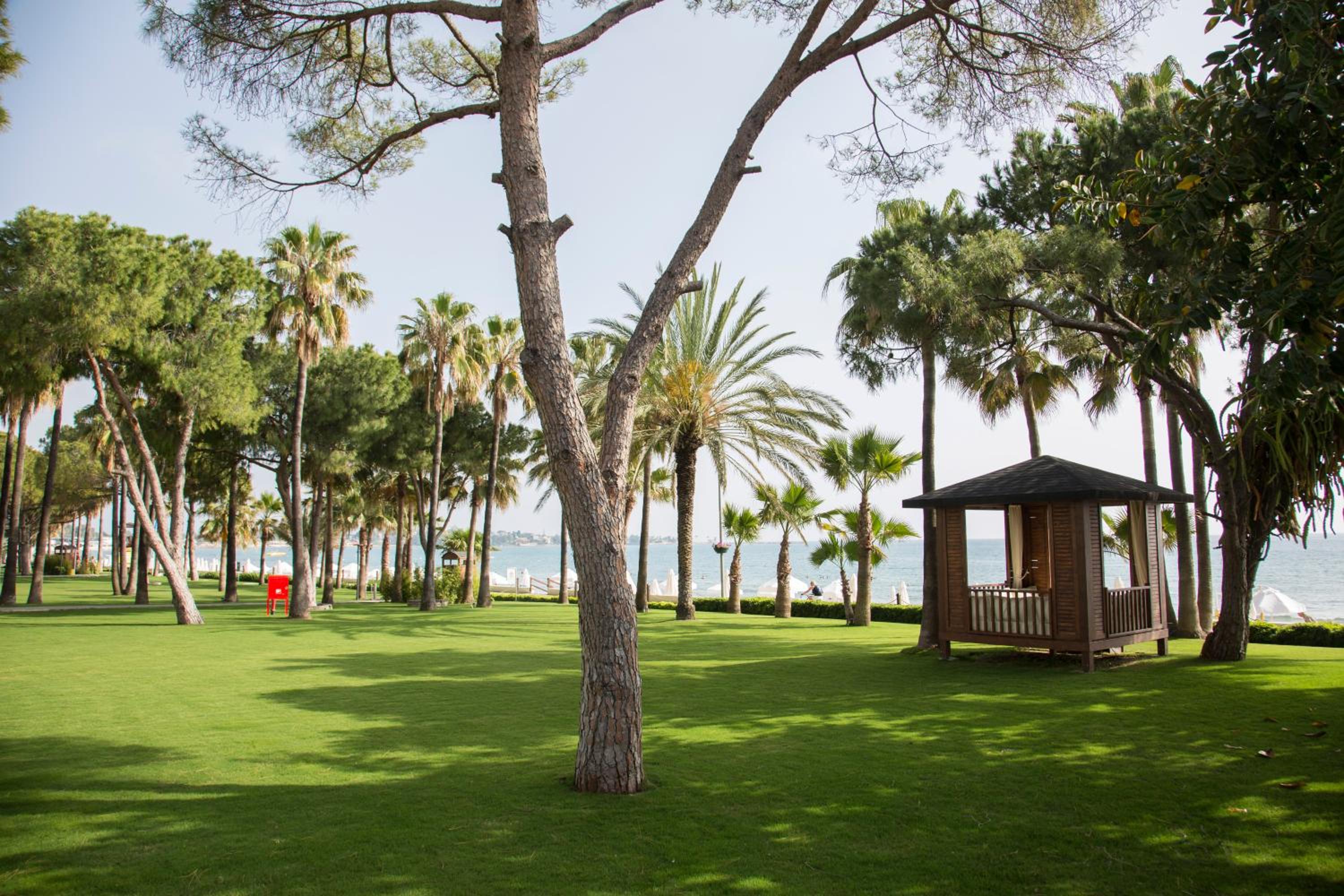 Acanthus Cennet Barut Collection - Ultra All Inclusive - Image 149