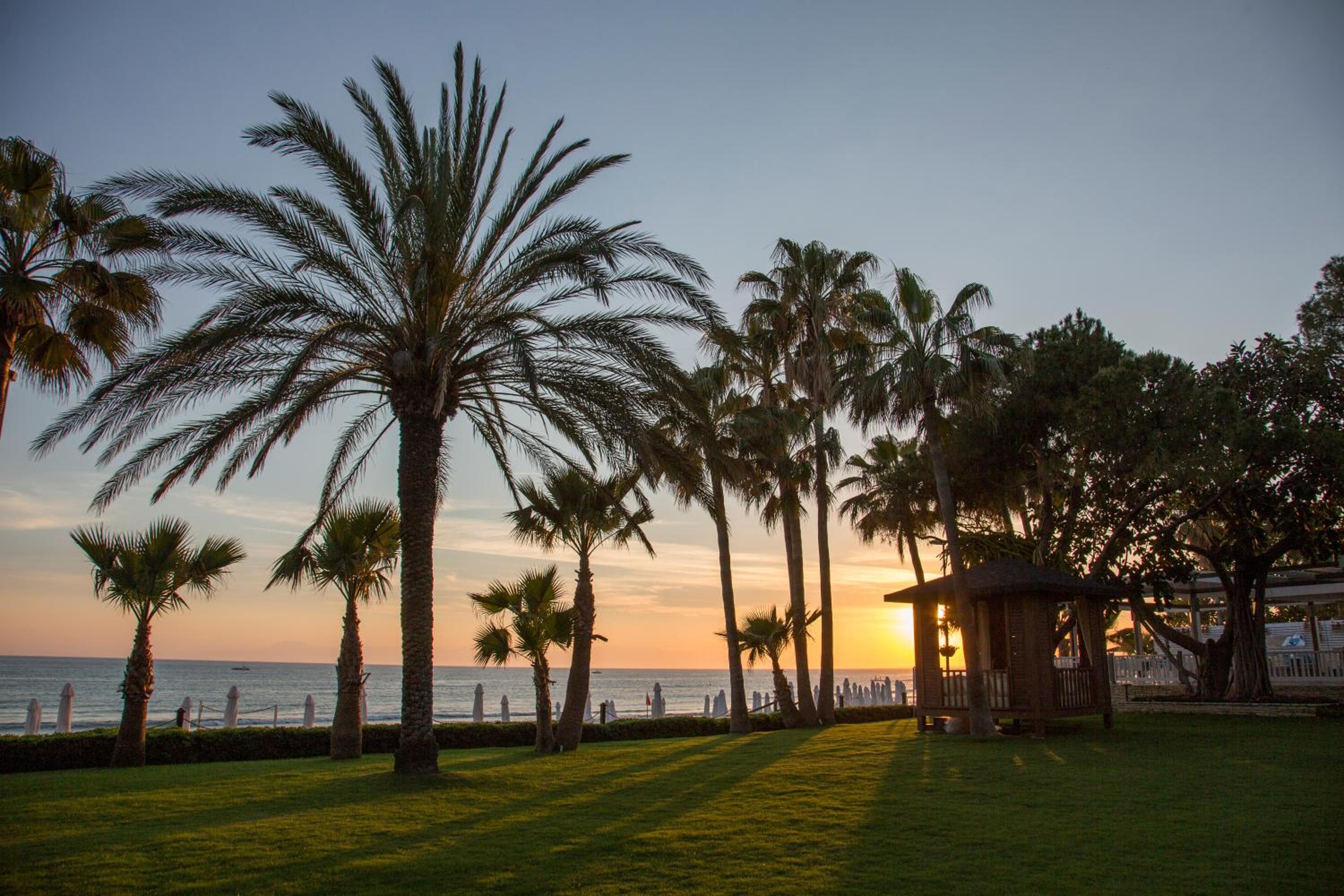 Acanthus Cennet Barut Collection - Ultra All Inclusive - Image 113