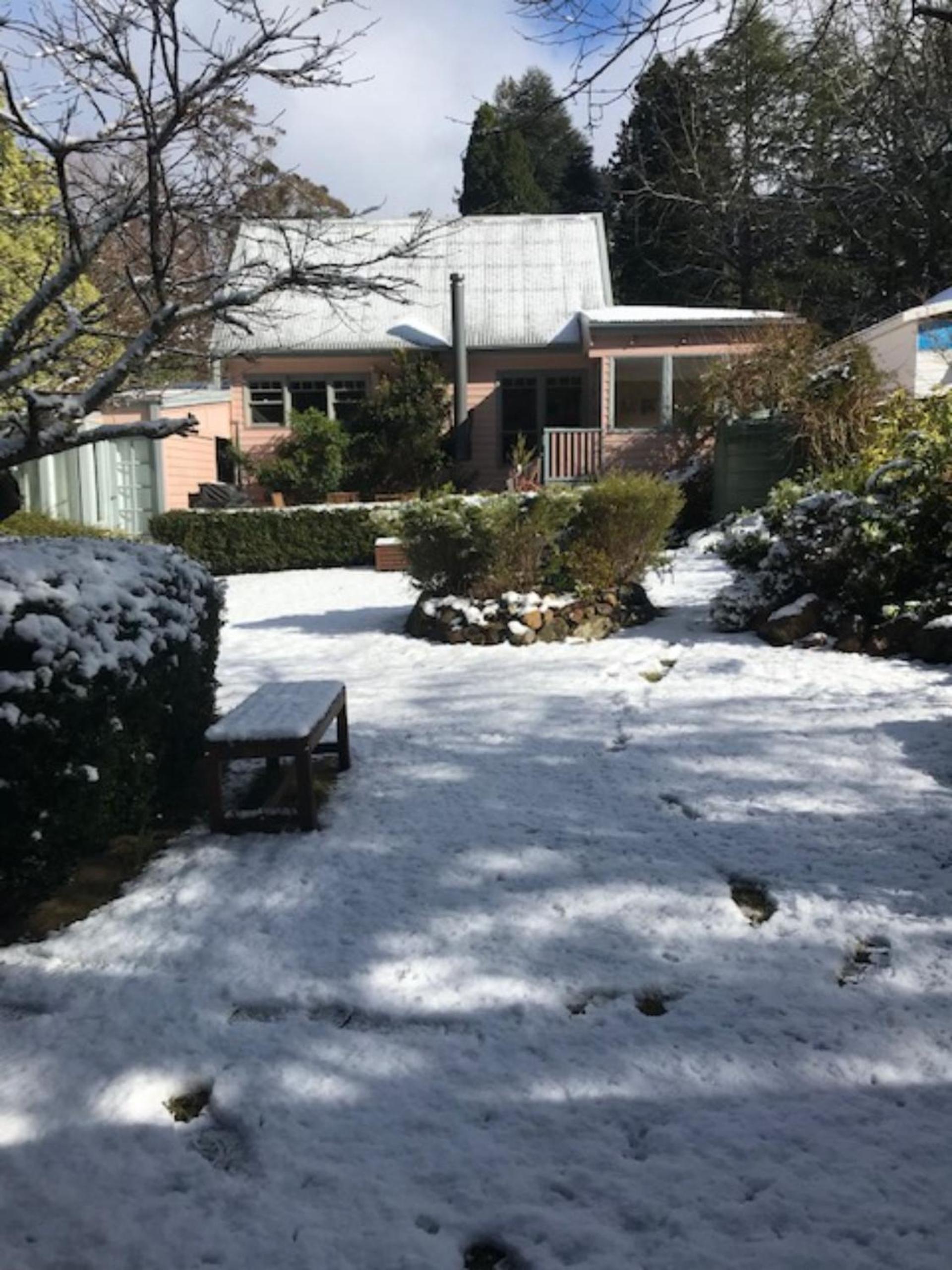 MapleWood House