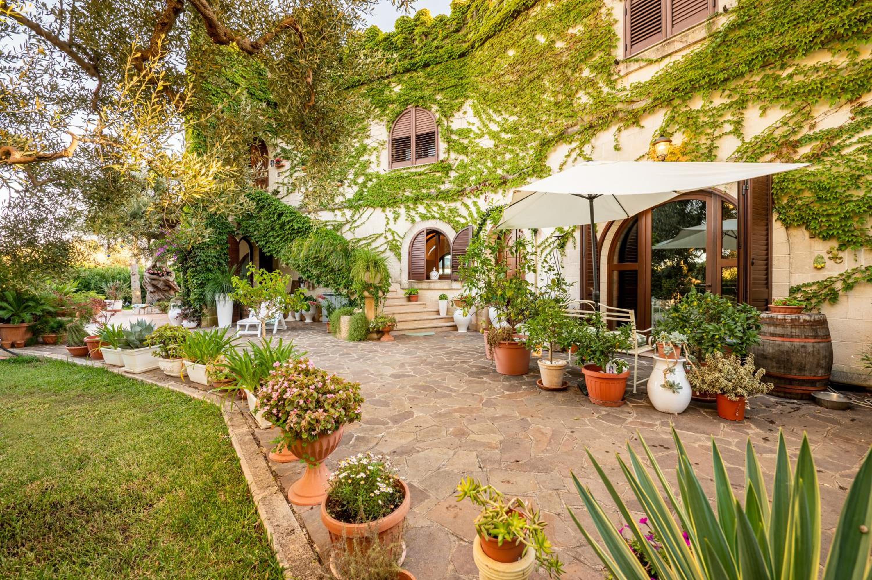 Tenuta del Normanno view 4