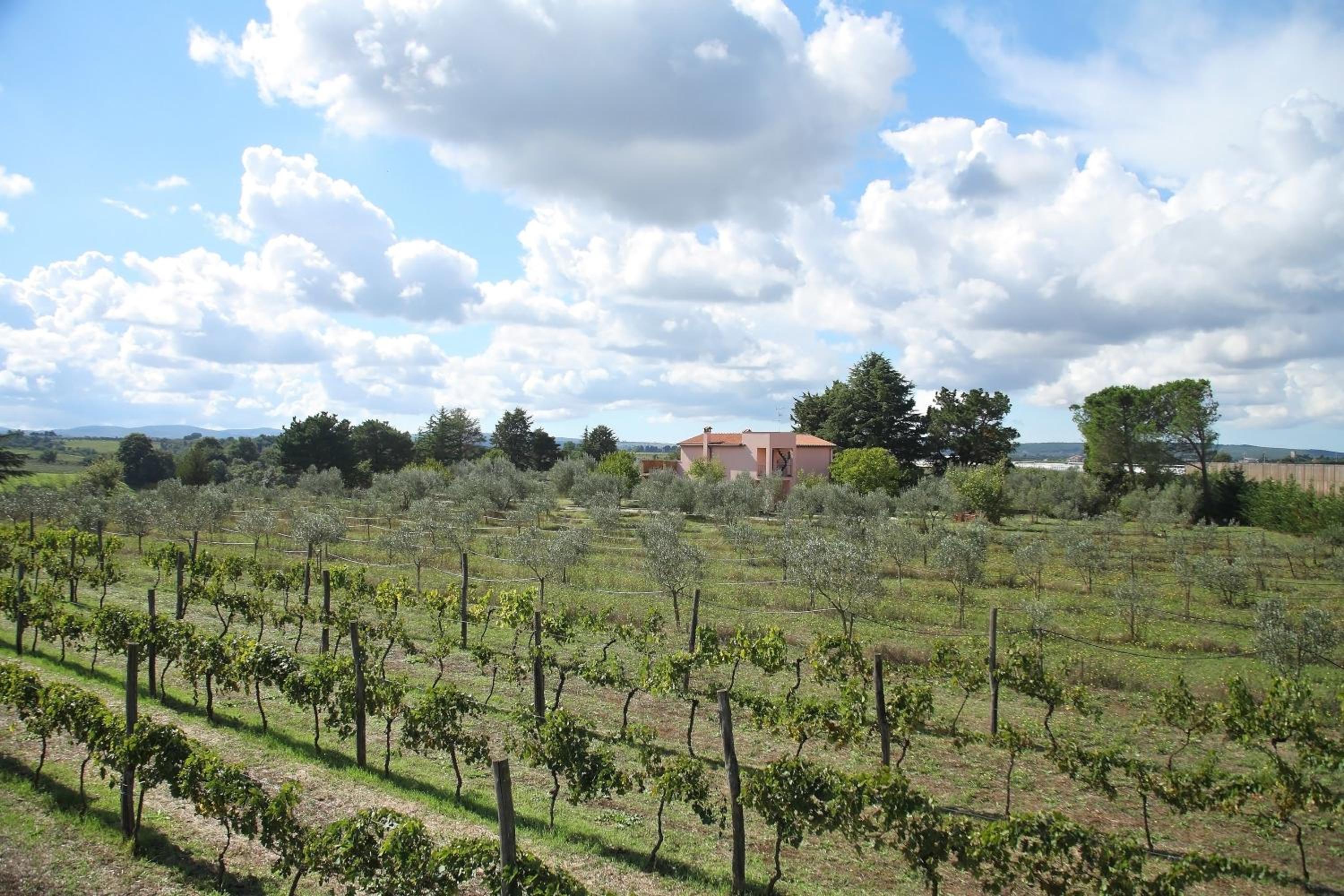 Agriturismo Il Marrugio