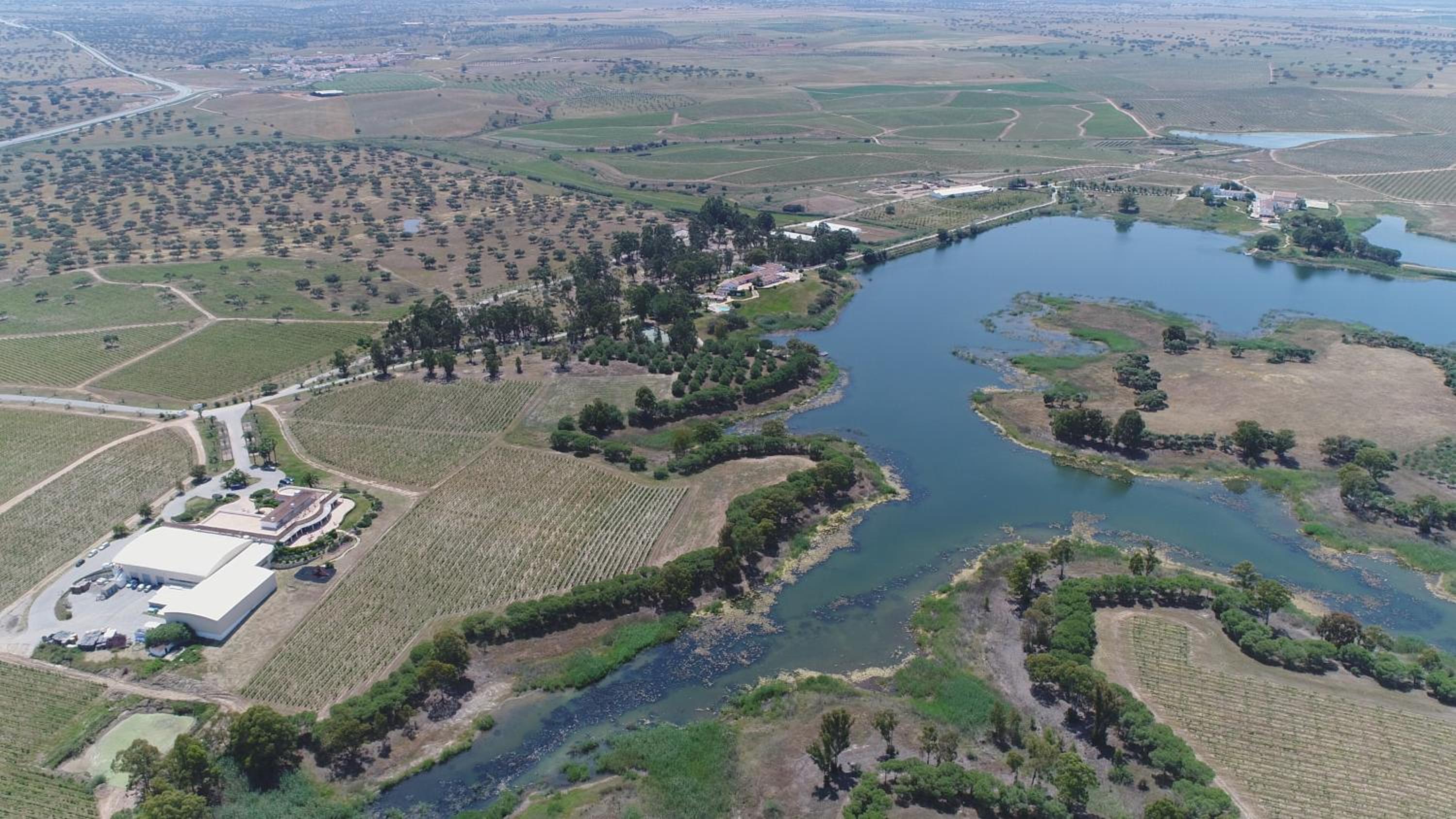 Herdade dos Grous view 4