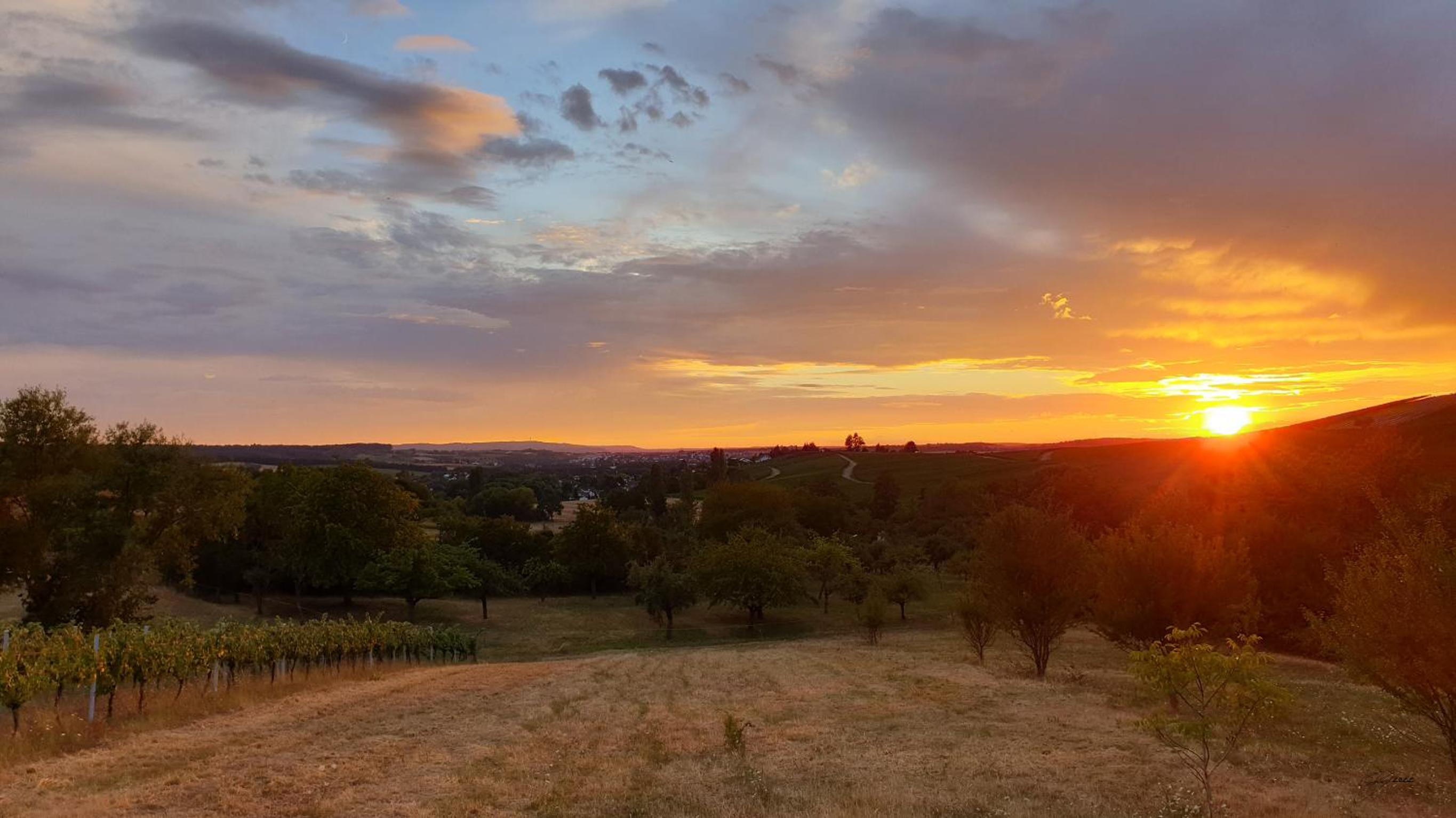 The view - Helfenberg