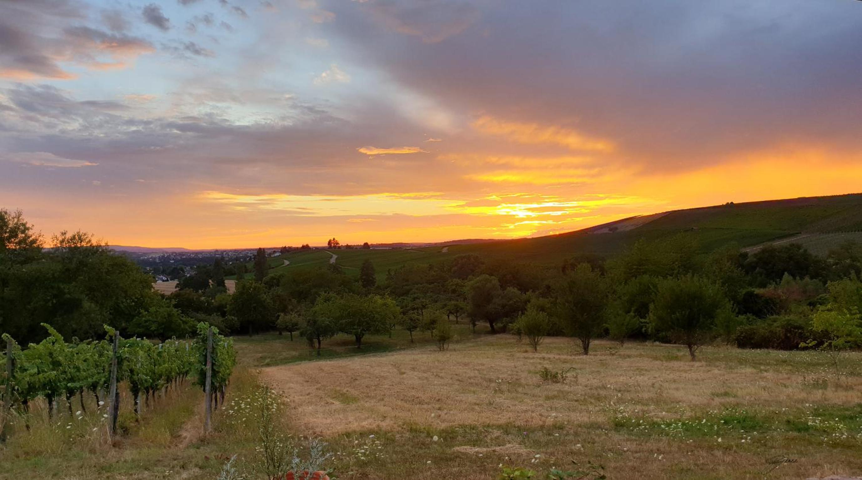 The view - Helfenberg