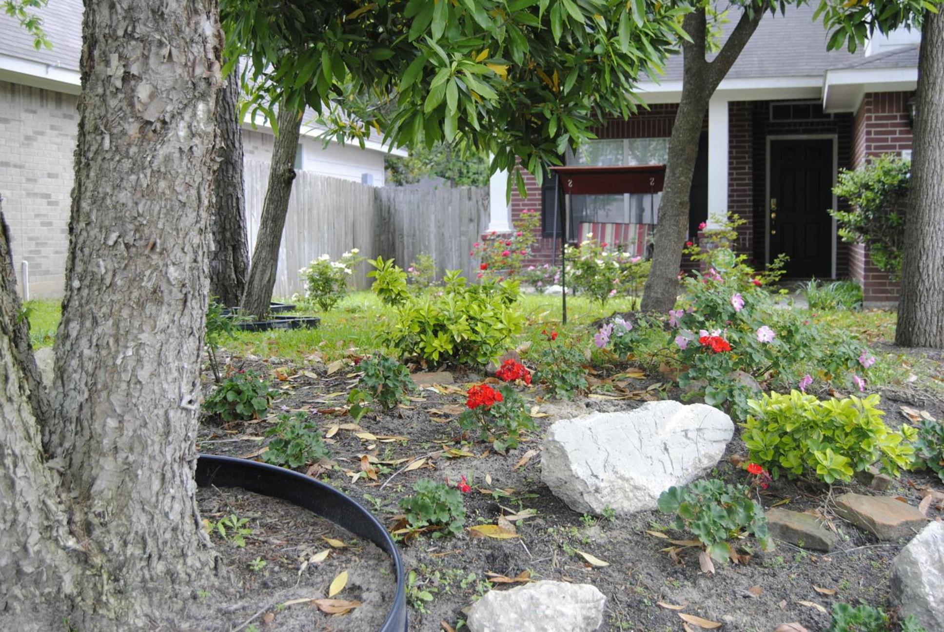 Photo 17