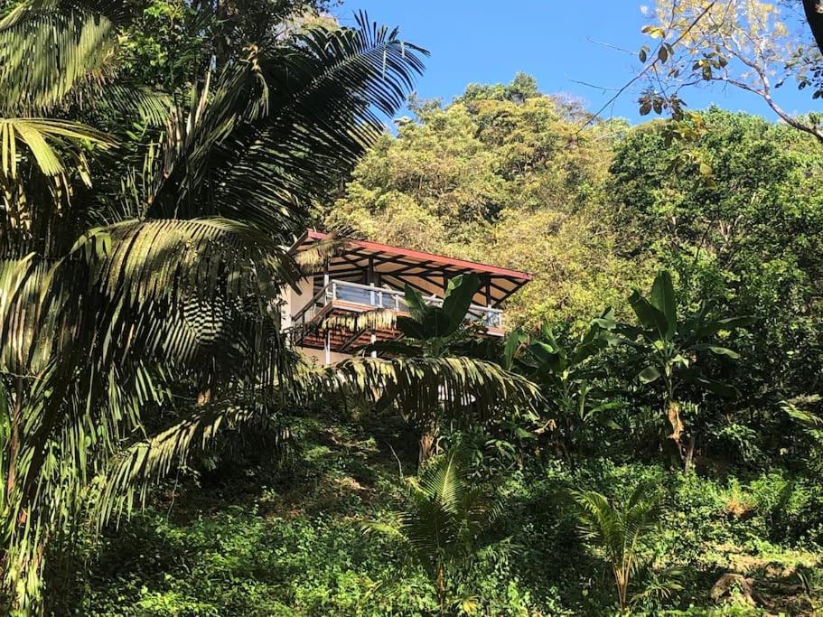 Jungle Villa copa de árbol, oceanview, infinity view 3