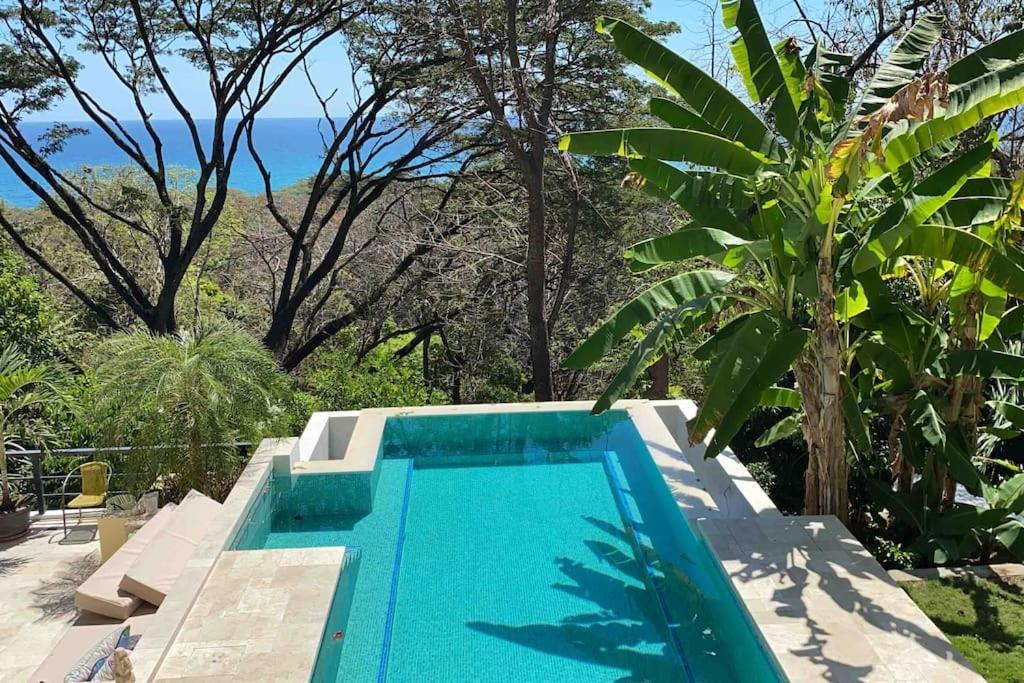 Jungle Villa copa de árbol, oceanview, infinity view 5