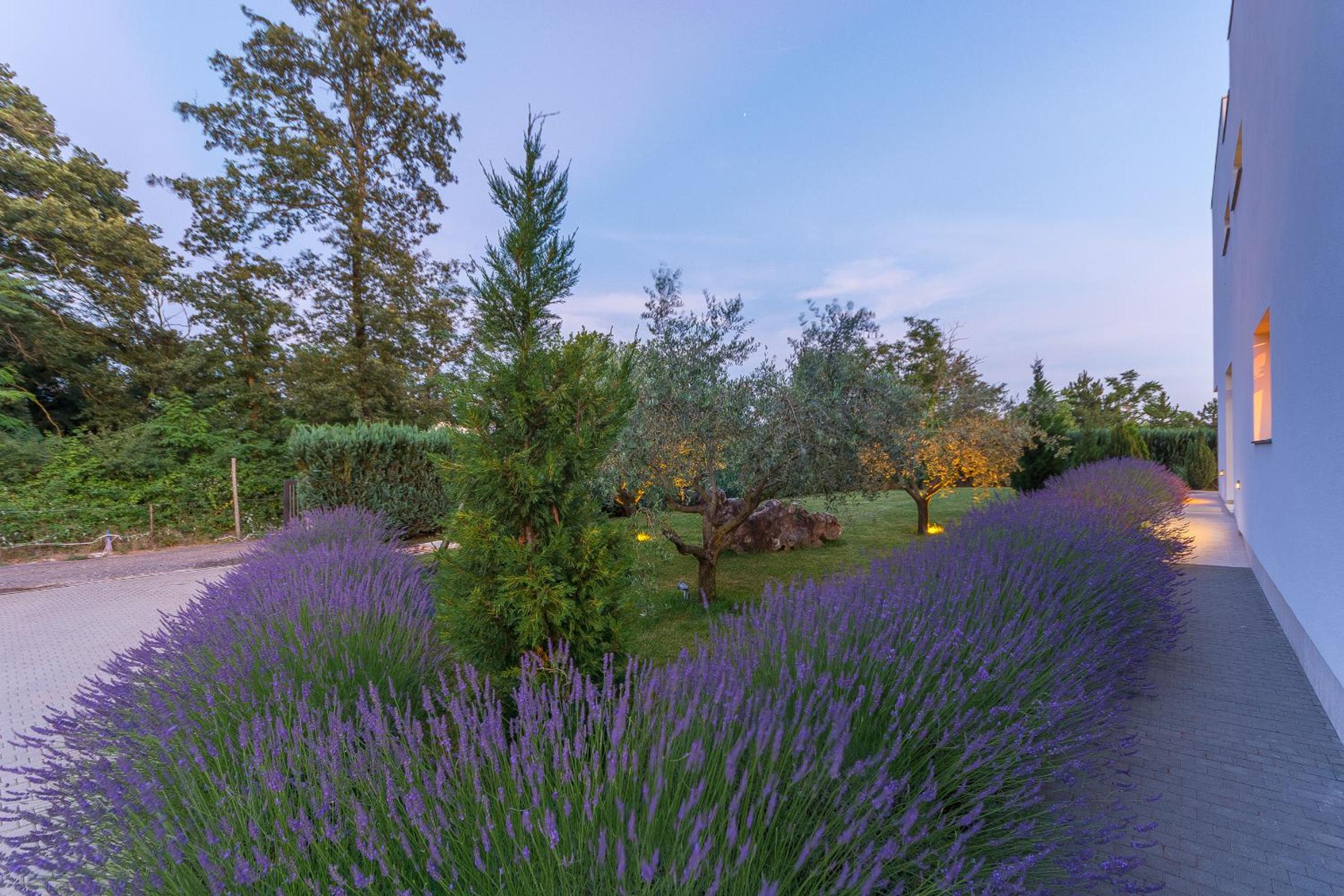 Villa Kate Istria view 3