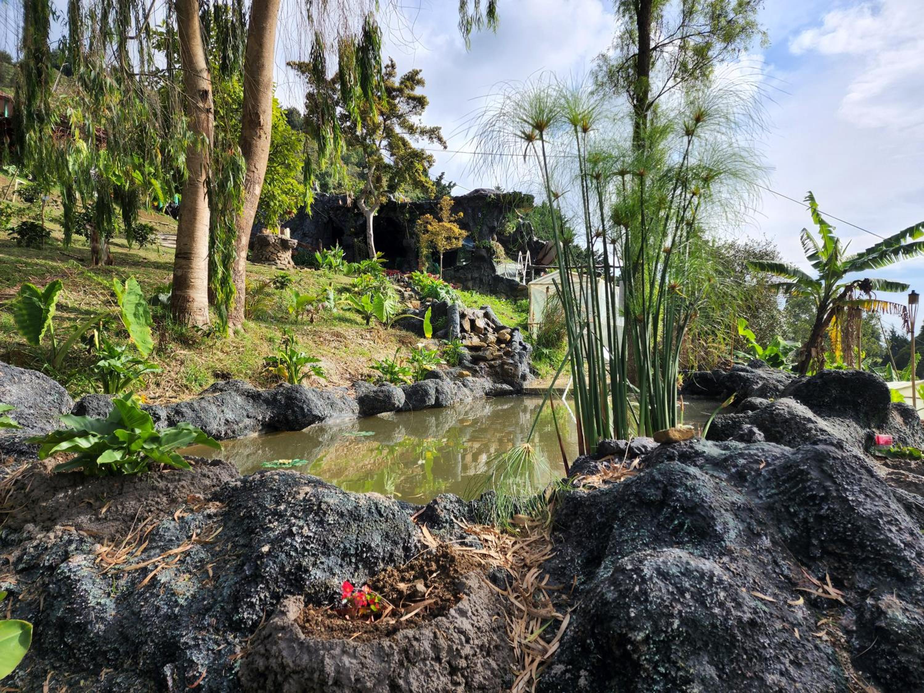 Glamping Spa & Coffee Tour view 4