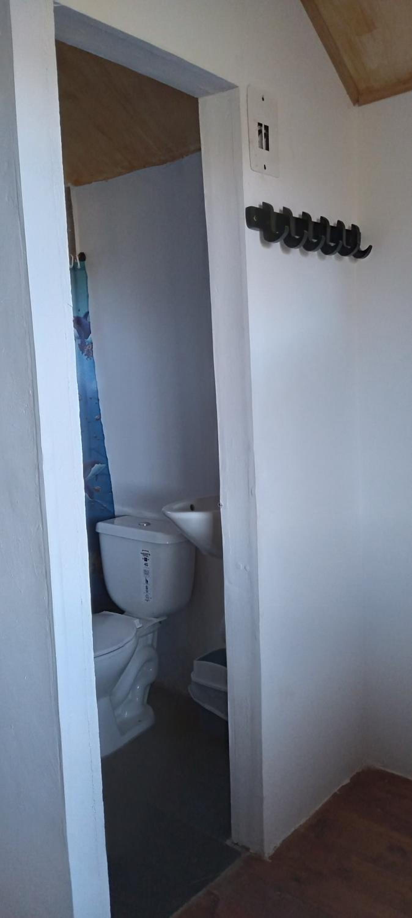 Photo 31