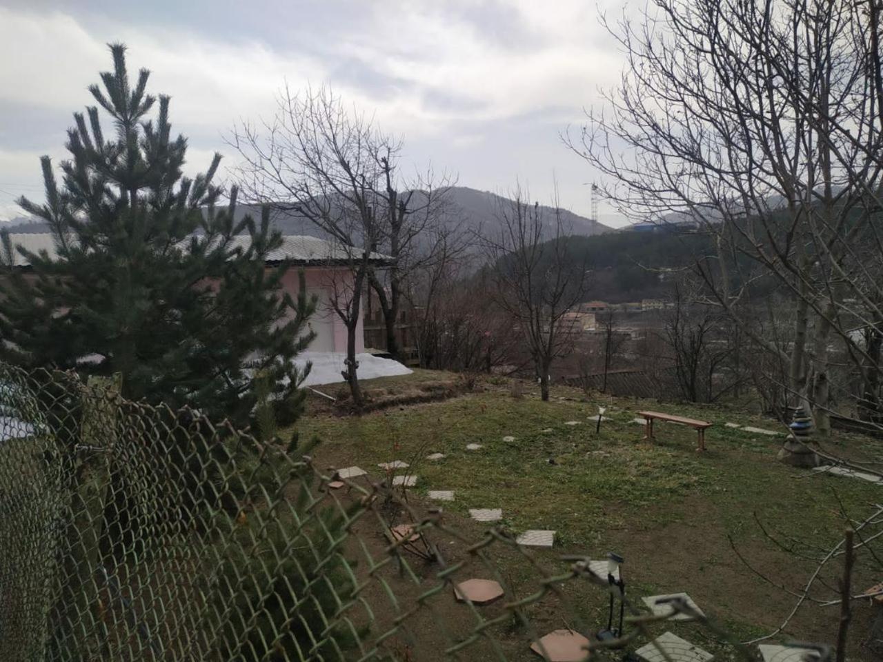 Mari-Elena