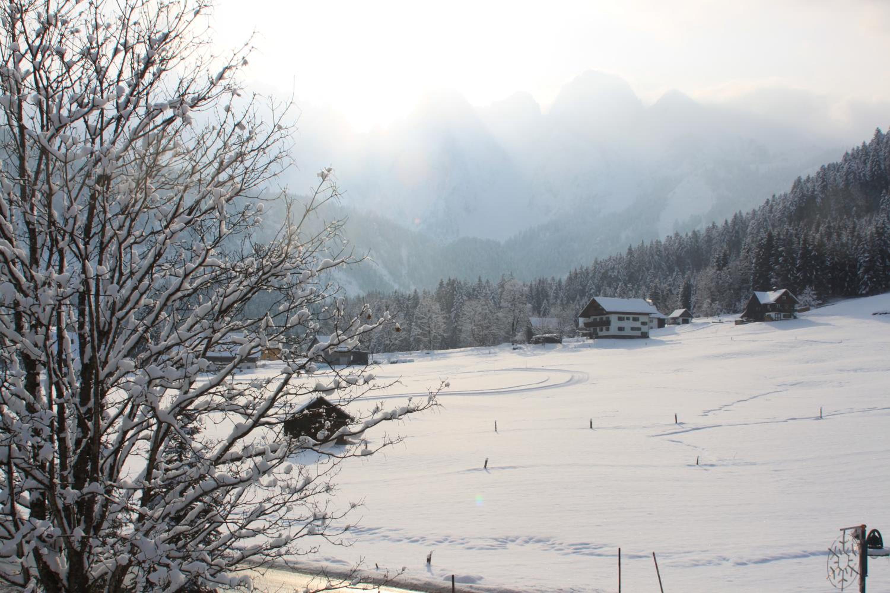 Mühlradl Apartments Gosau