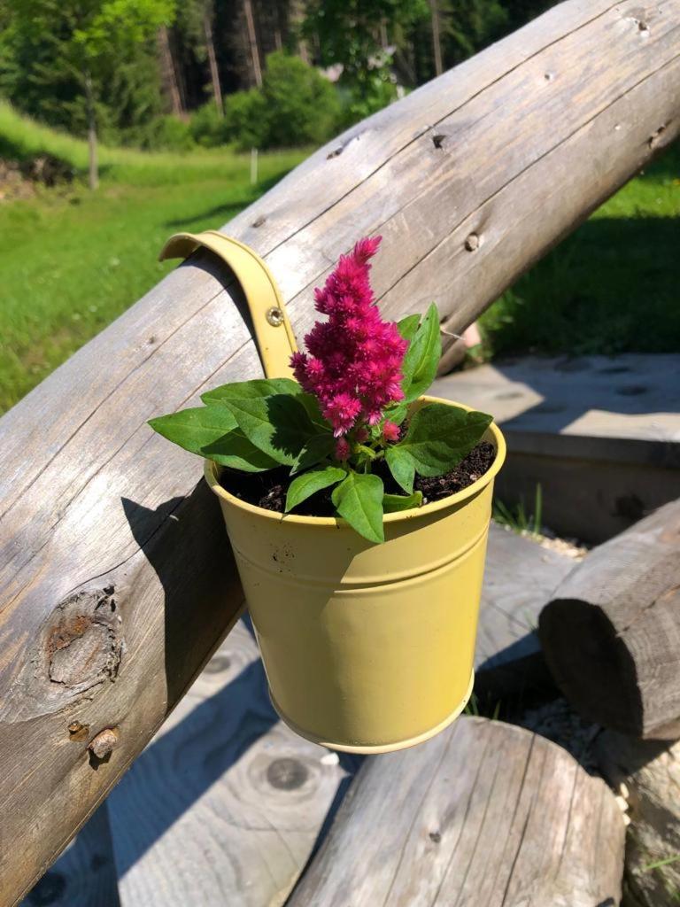 Baita Alpenrose