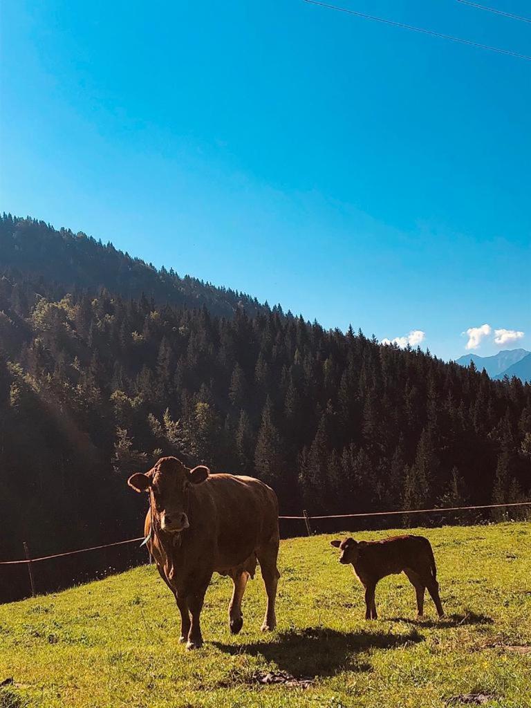 Baita Alpenrose