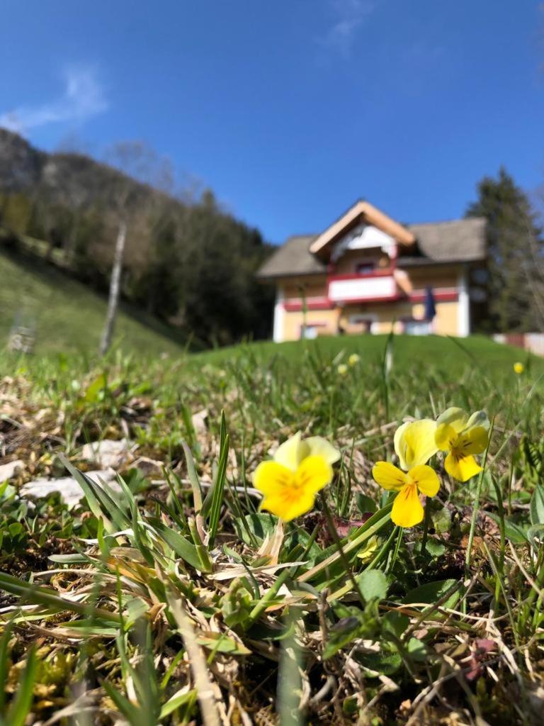 Baita Alpenrose