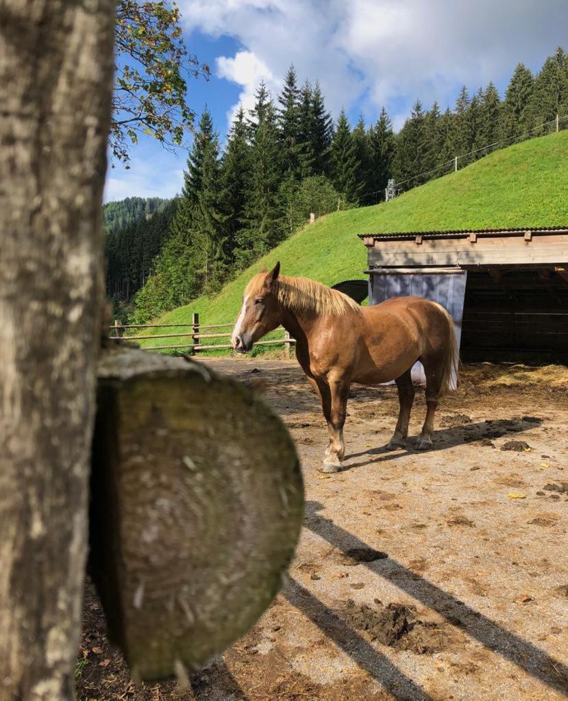 Baita Alpenrose
