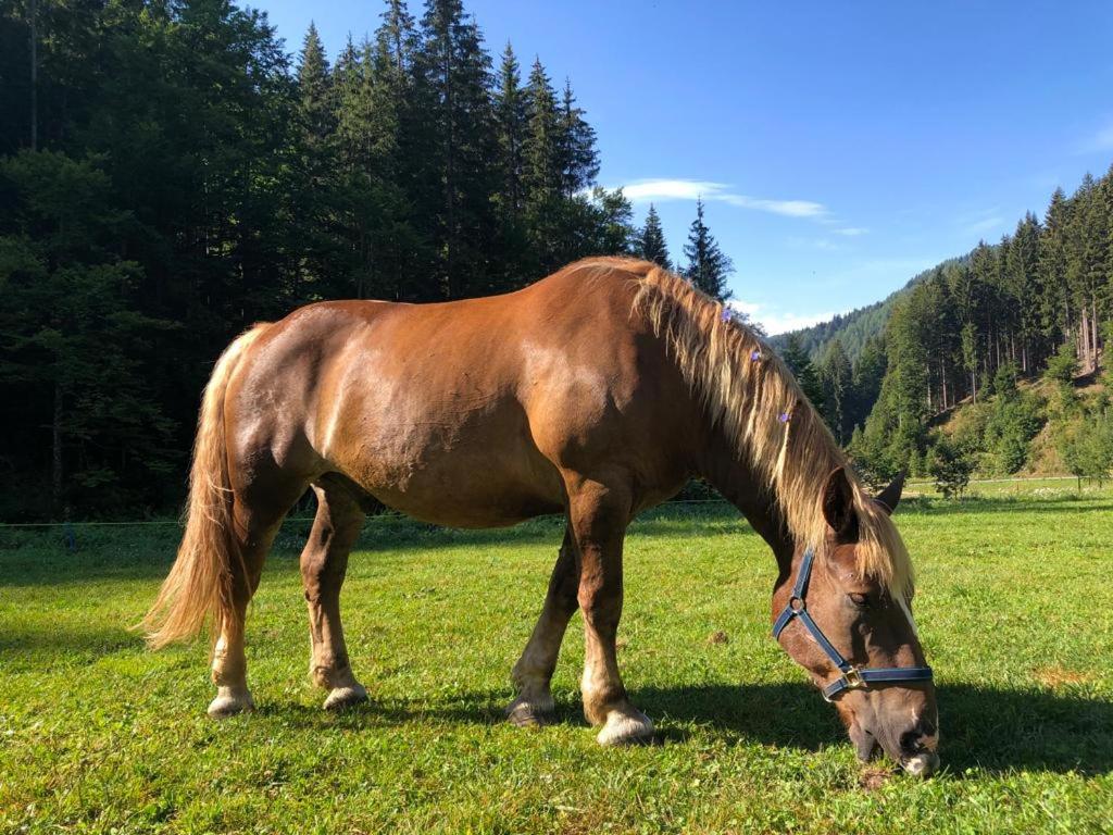 Baita Alpenrose
