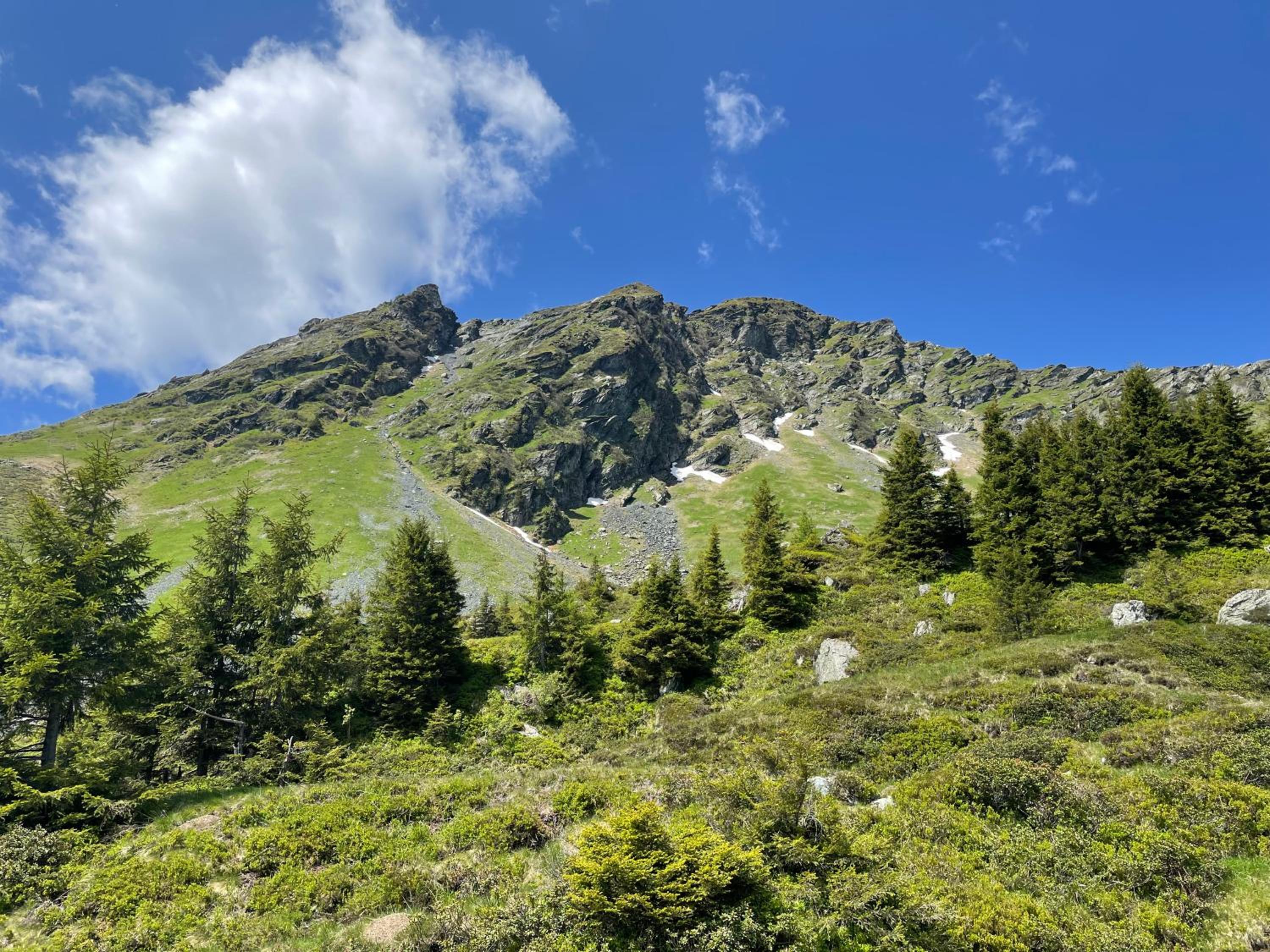 Landhaus Bergner Alm