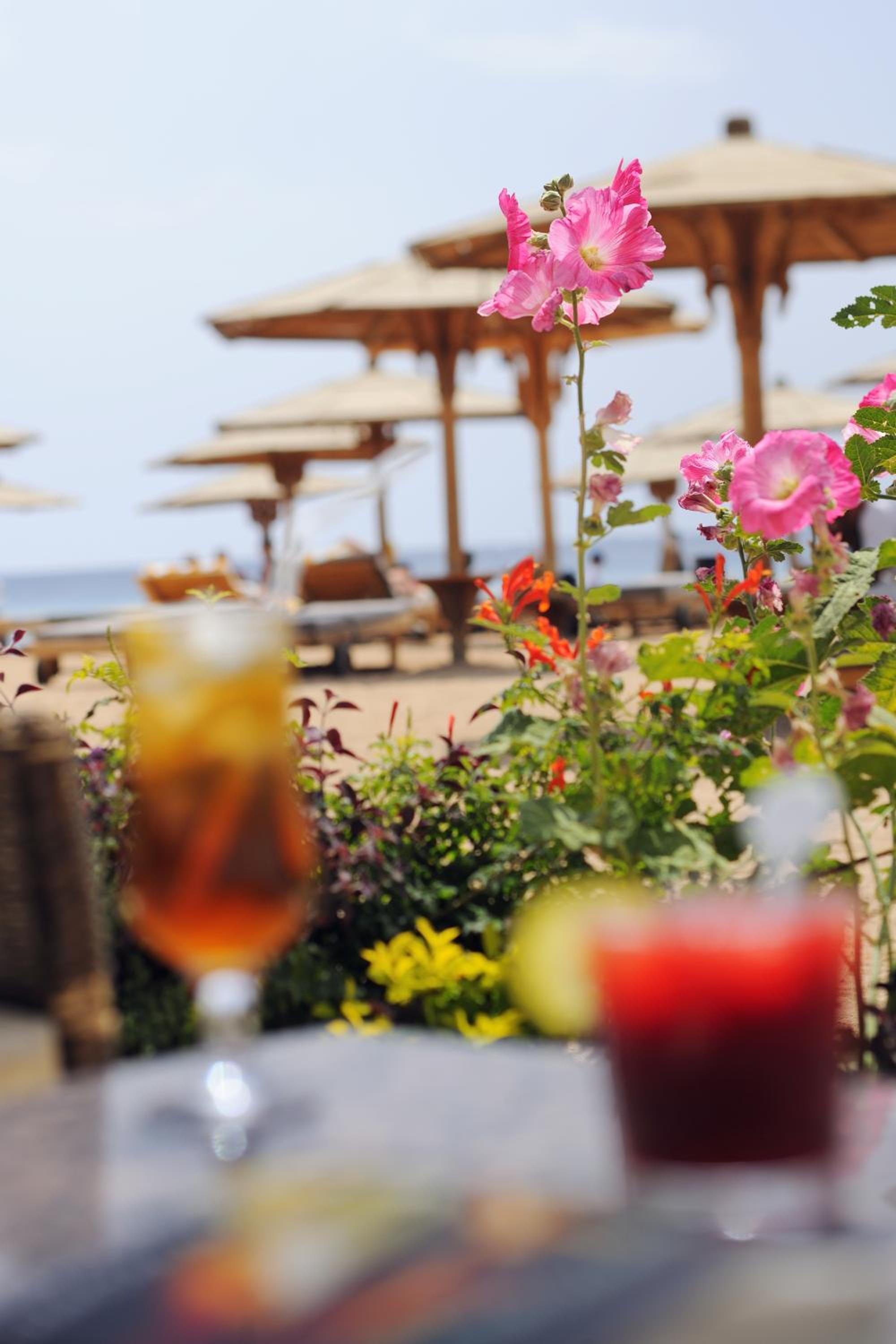 Naama Bay Promenade Beach Resort Managed By Accor — photo 85