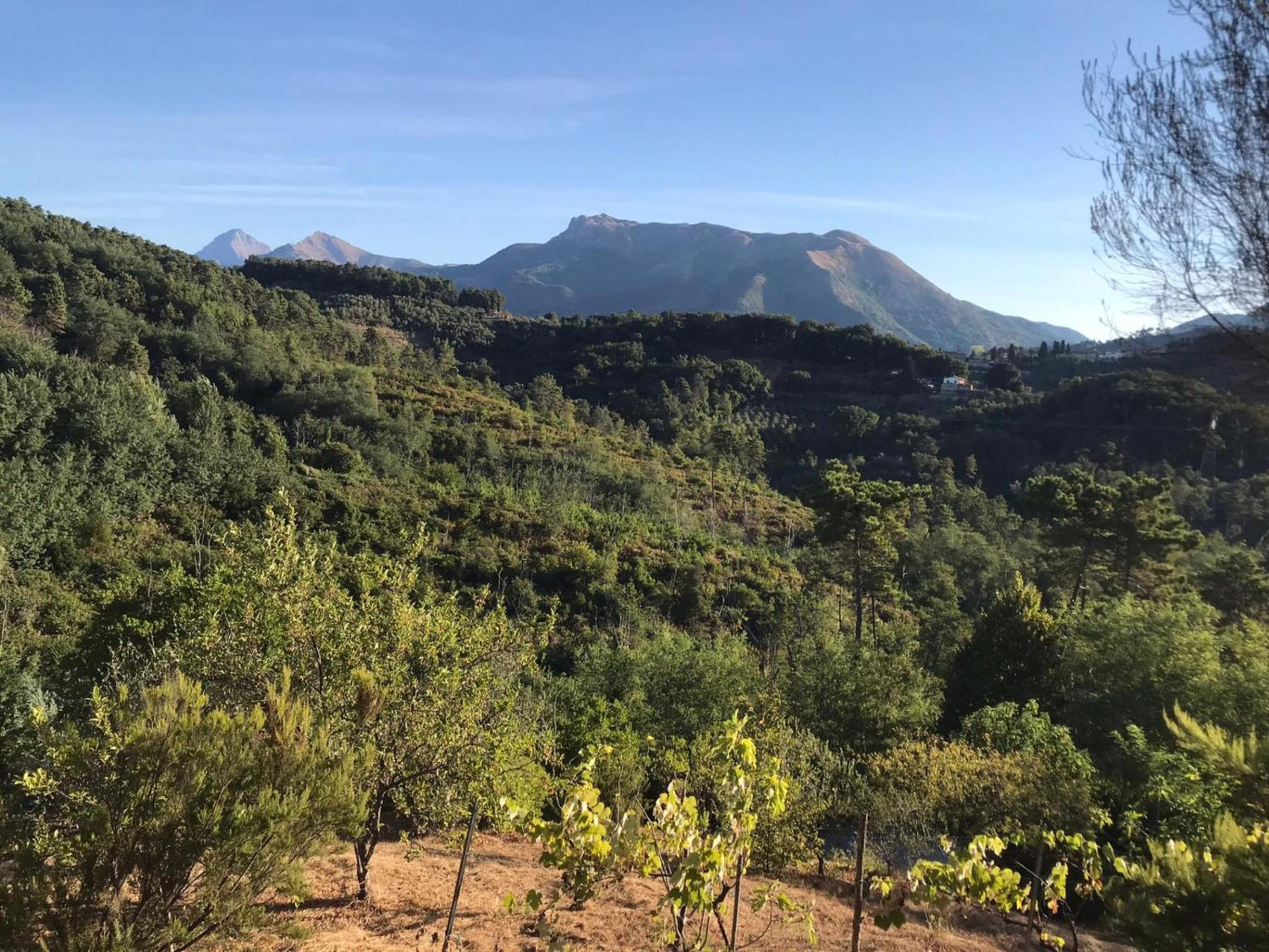 Tra mare e monti view 4