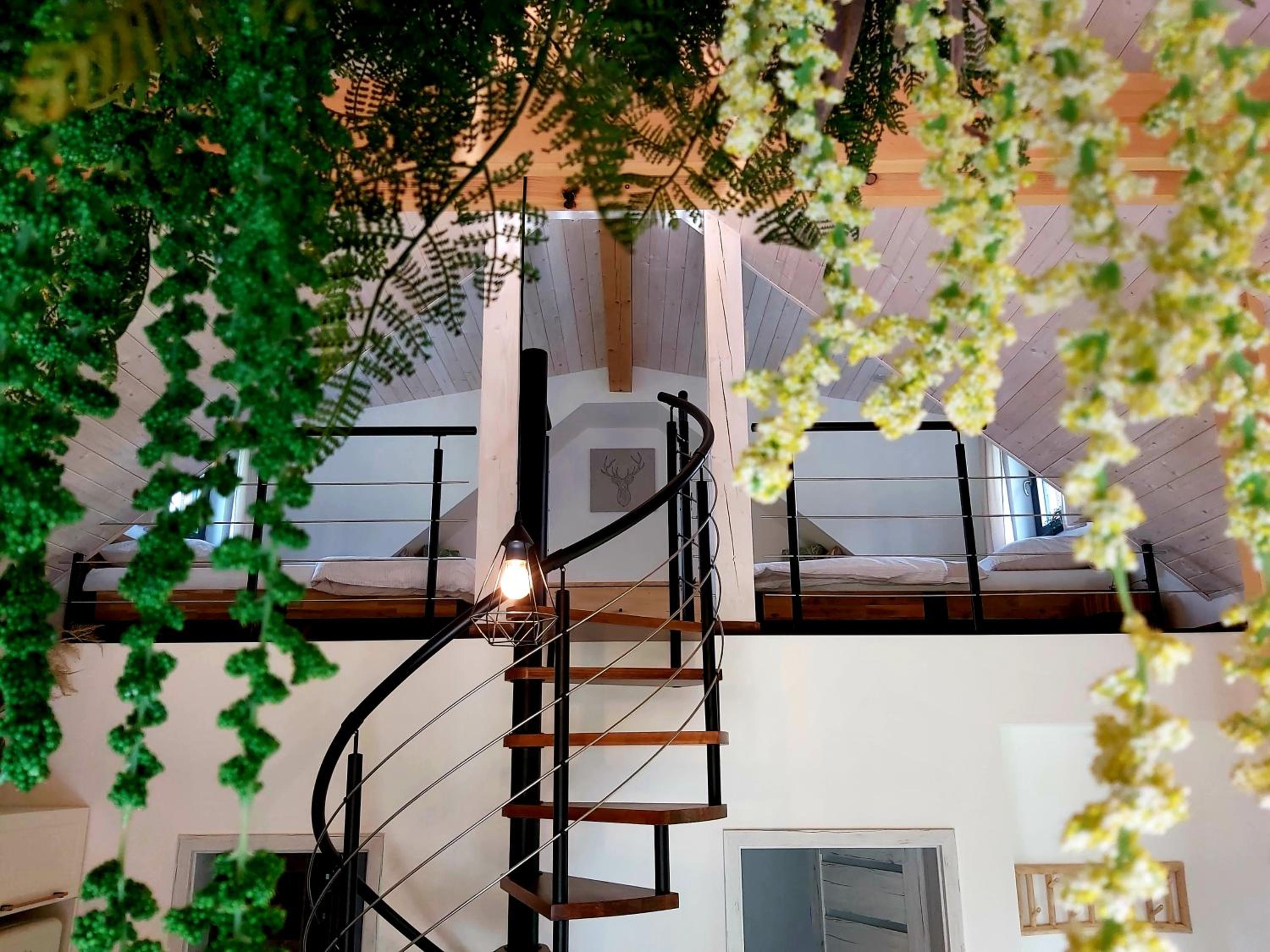 LOFT WAPITI