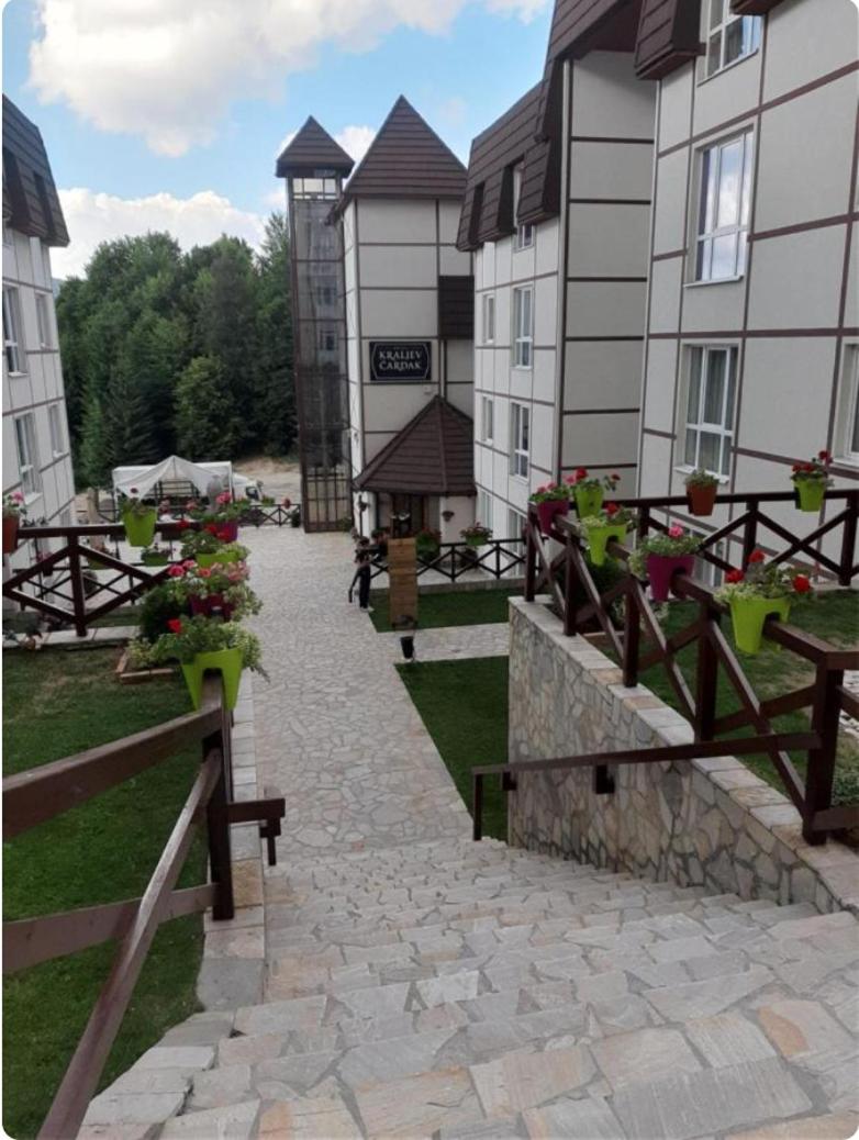 Annika Lux view 5