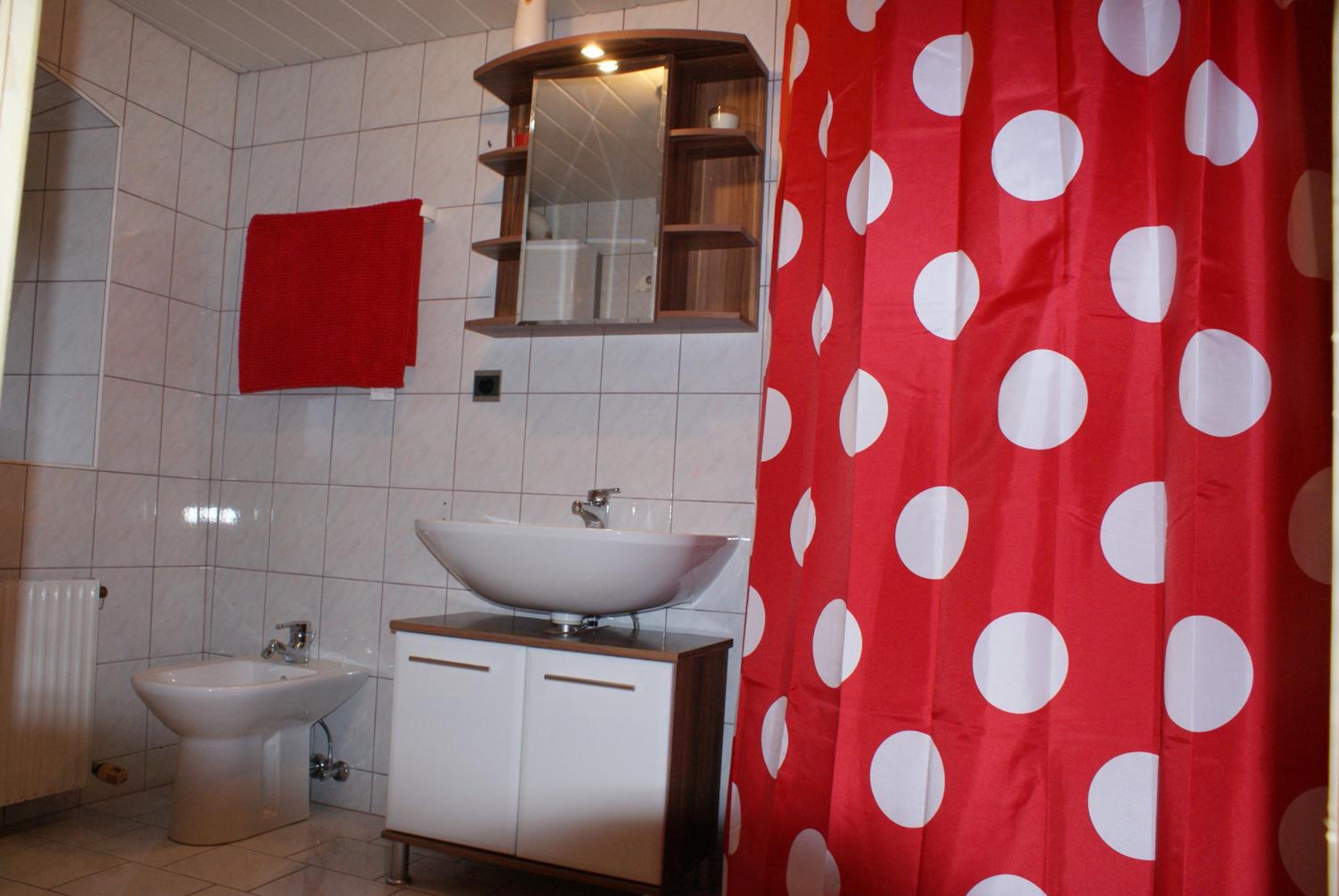 Linz Vacations - Mayerhofer House - Property Image 9