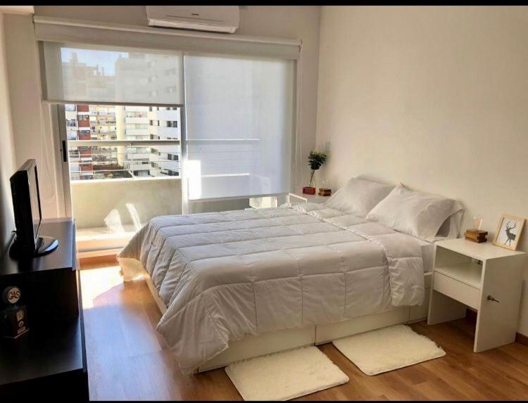 PALERMO QUEENS STUDIO