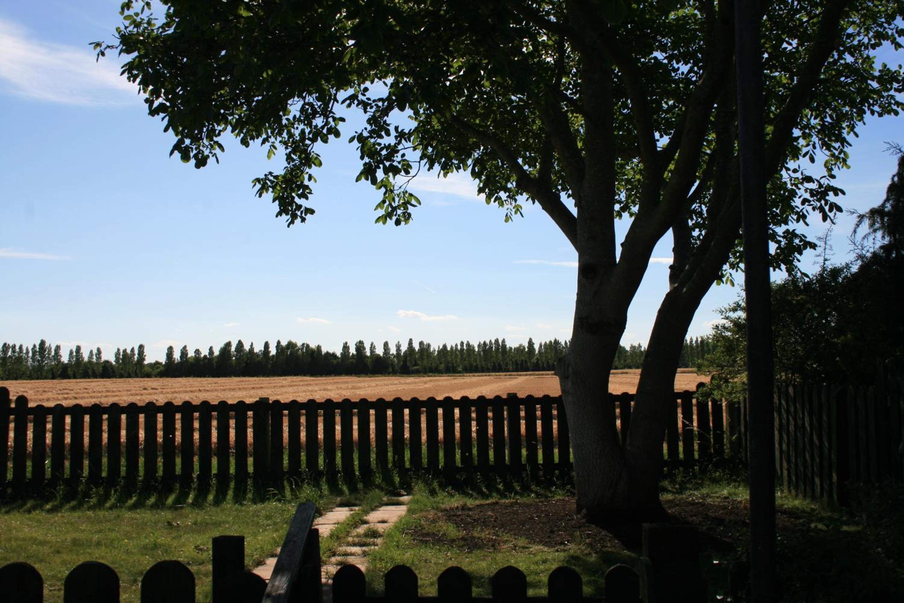 Photo 26