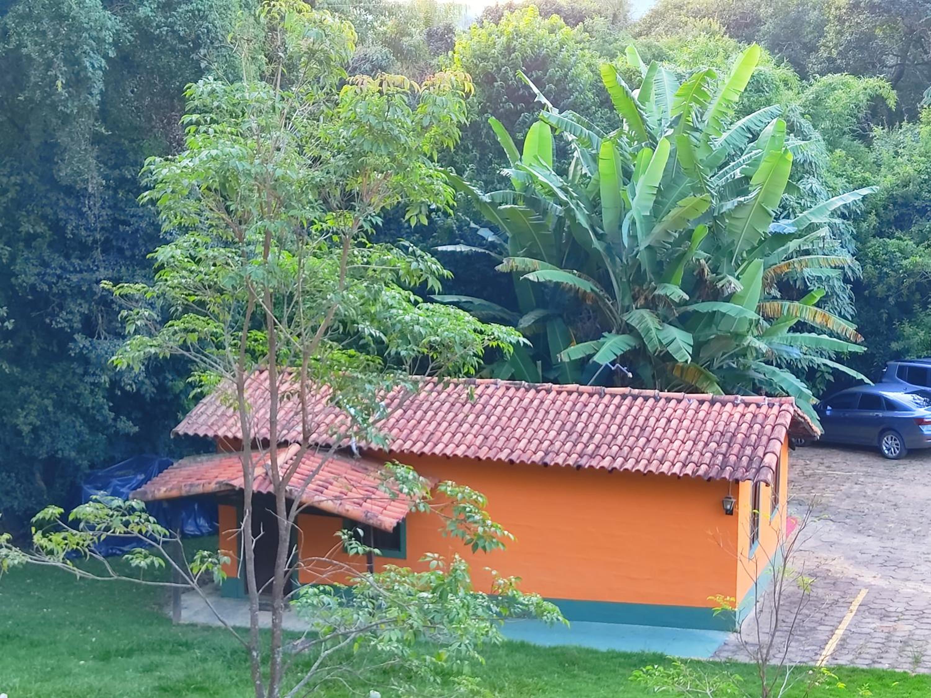 Photo 43