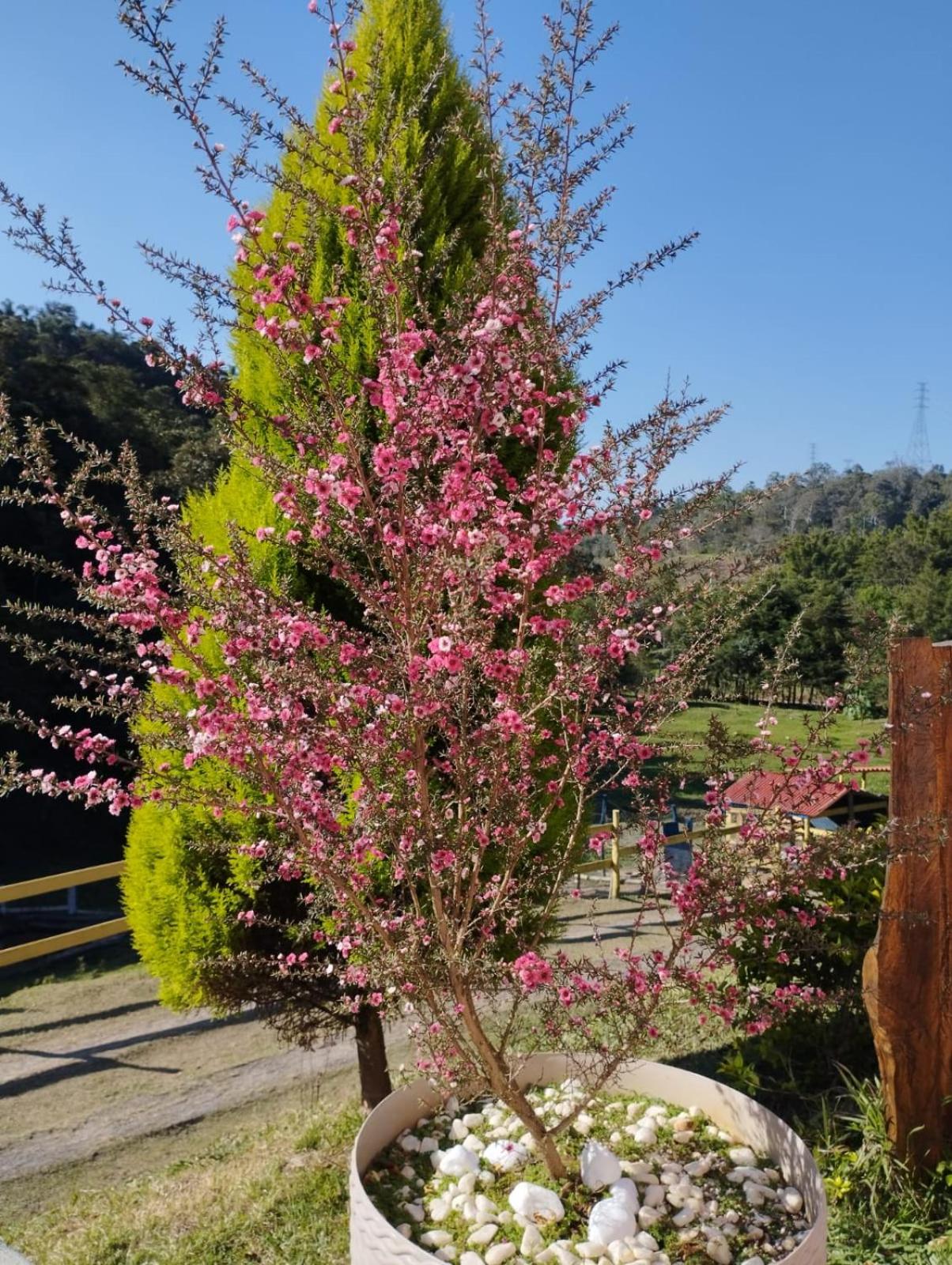POUSADA PE NA TERRA EM GUARAREMA