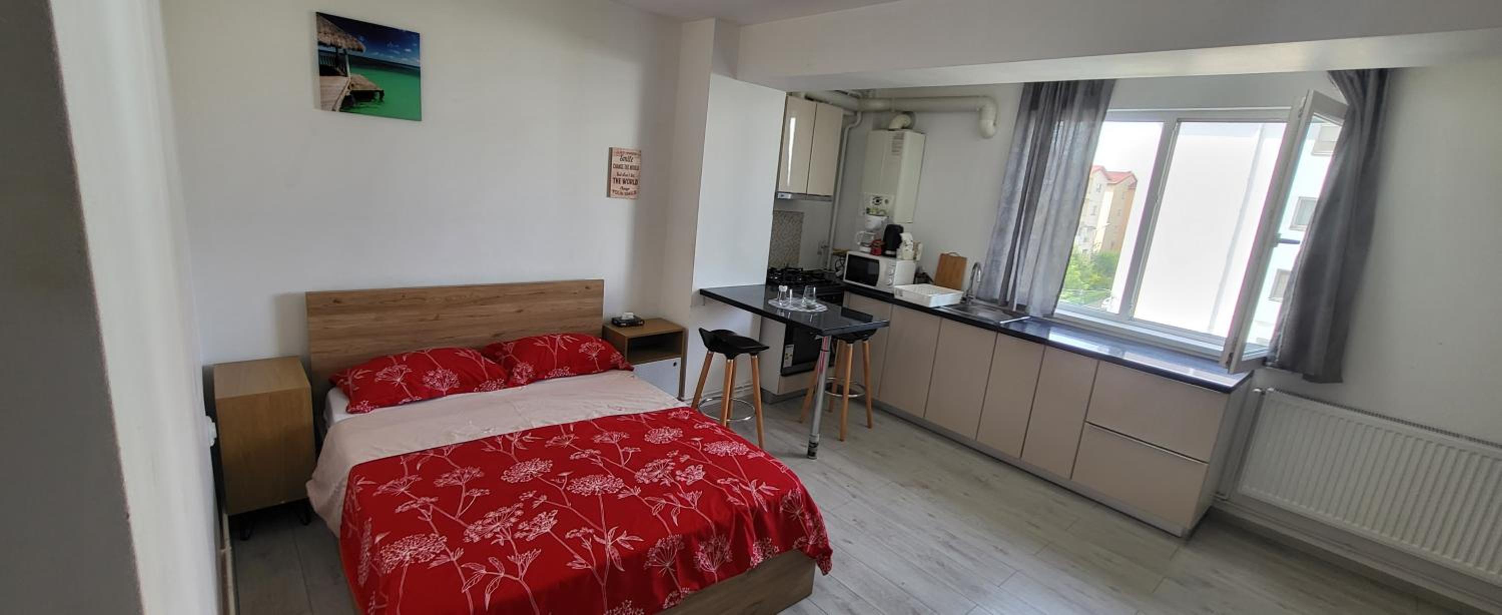 Self check-in Studio 22 Bulevardul Oltenia view 5