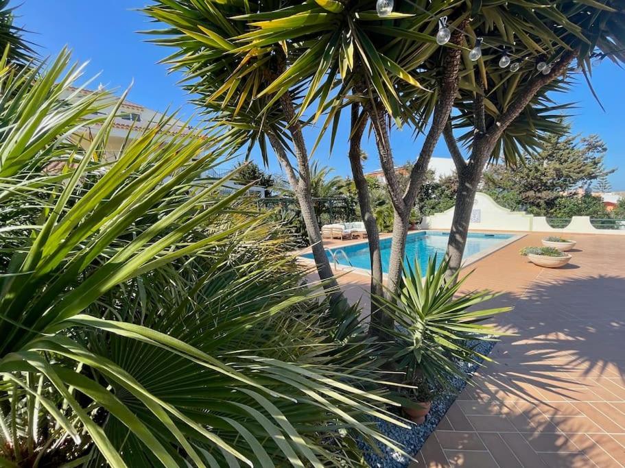 AltaVista Lodge