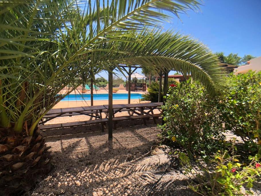 AltaVista Lodge