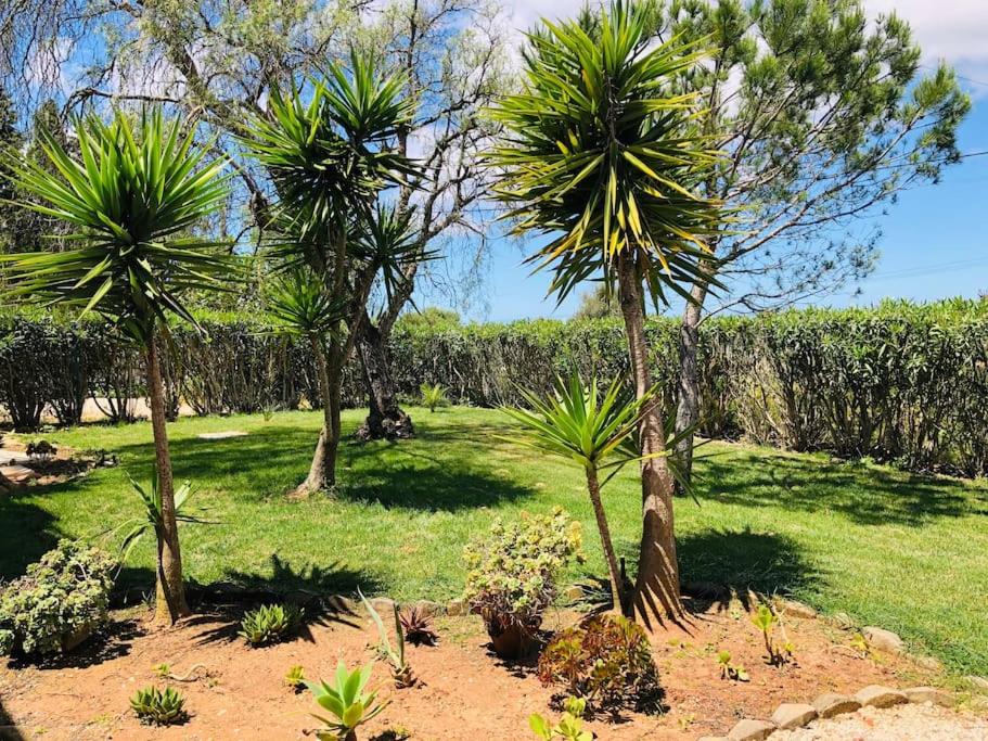 AltaVista Lodge