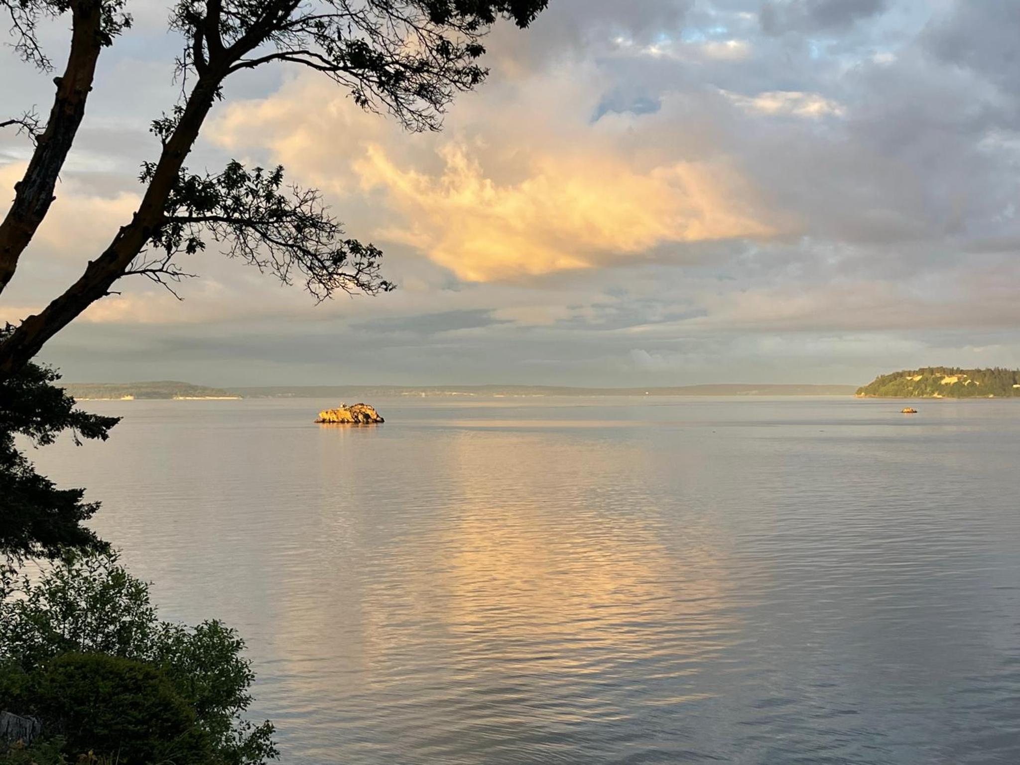 Puget Sound Chic Romantic Cottage with Private Beach Access & Gated Entry view 3