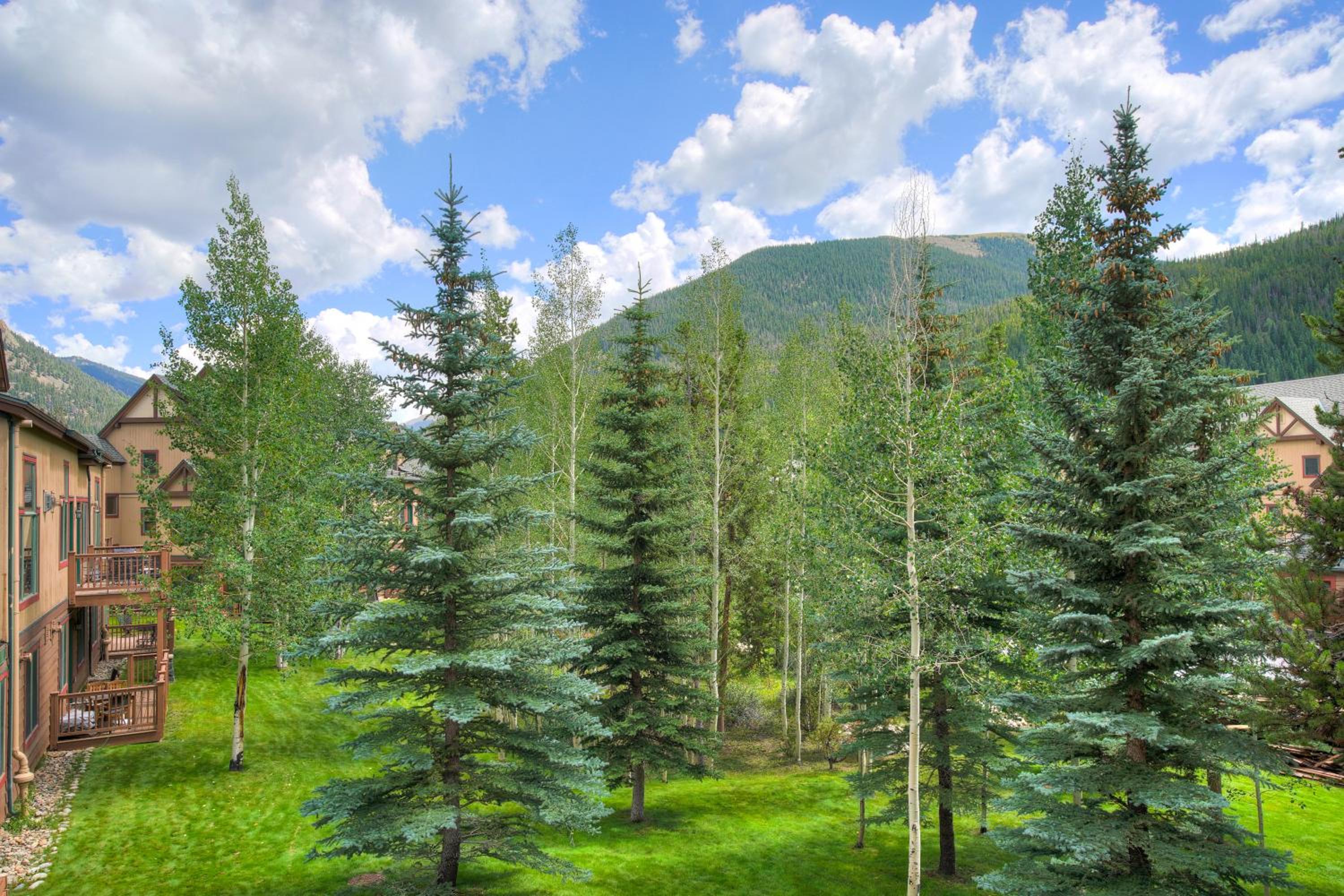 Red Hawk, A Vail Resorts Property view 5