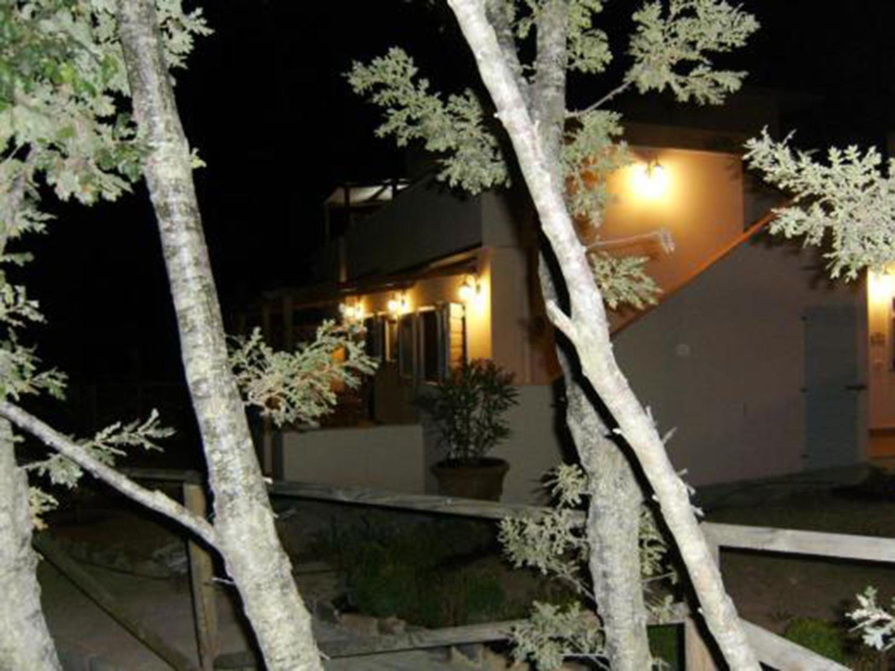 Photo 33