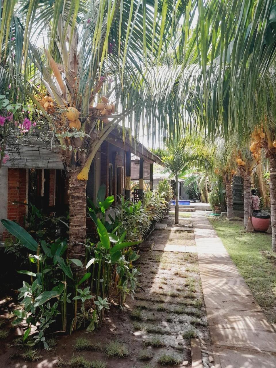 La Paparrucha Bali view 3