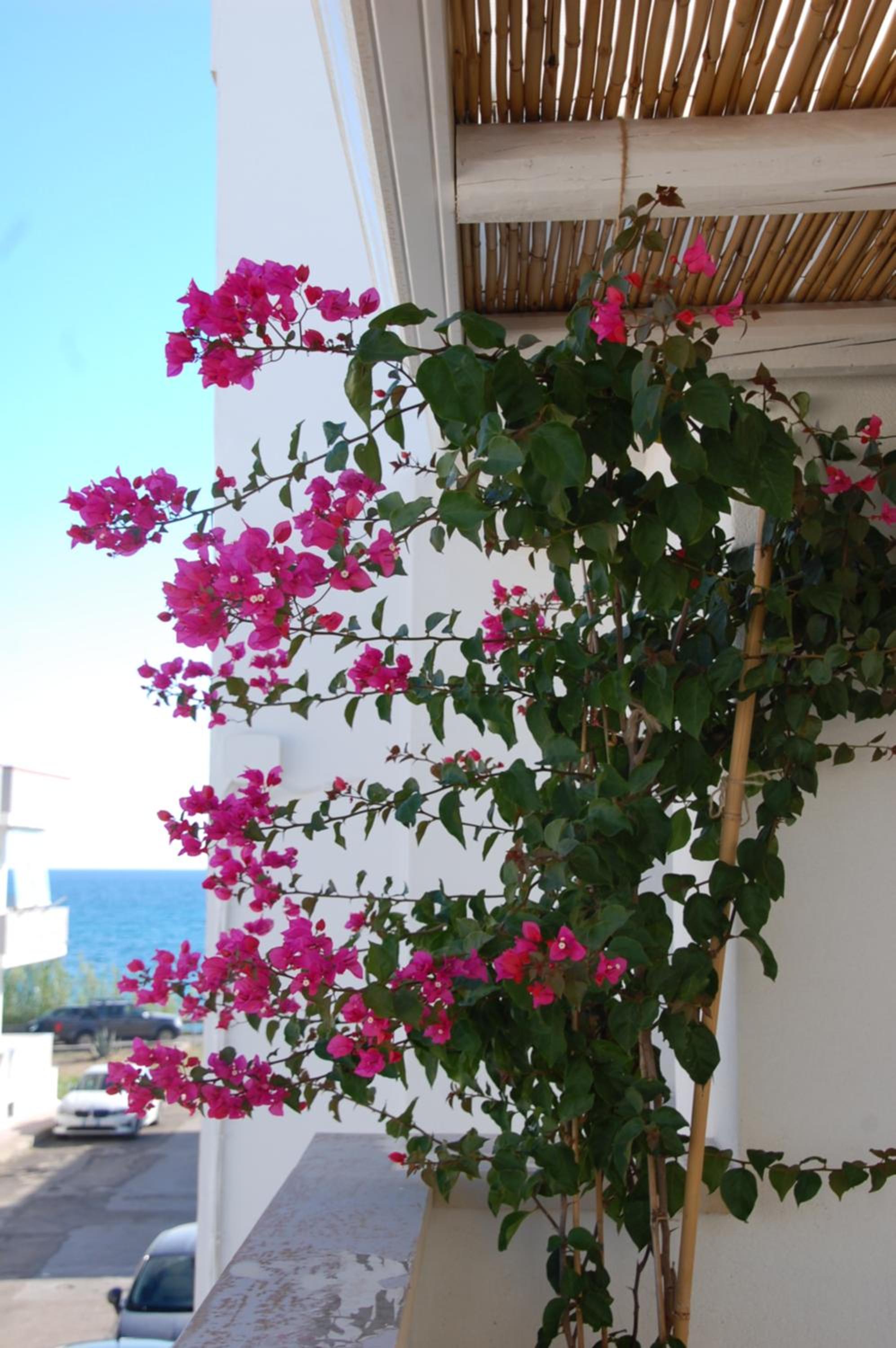 Fantastica casa in stile mediterraneo - Al Ficodindia photo 5