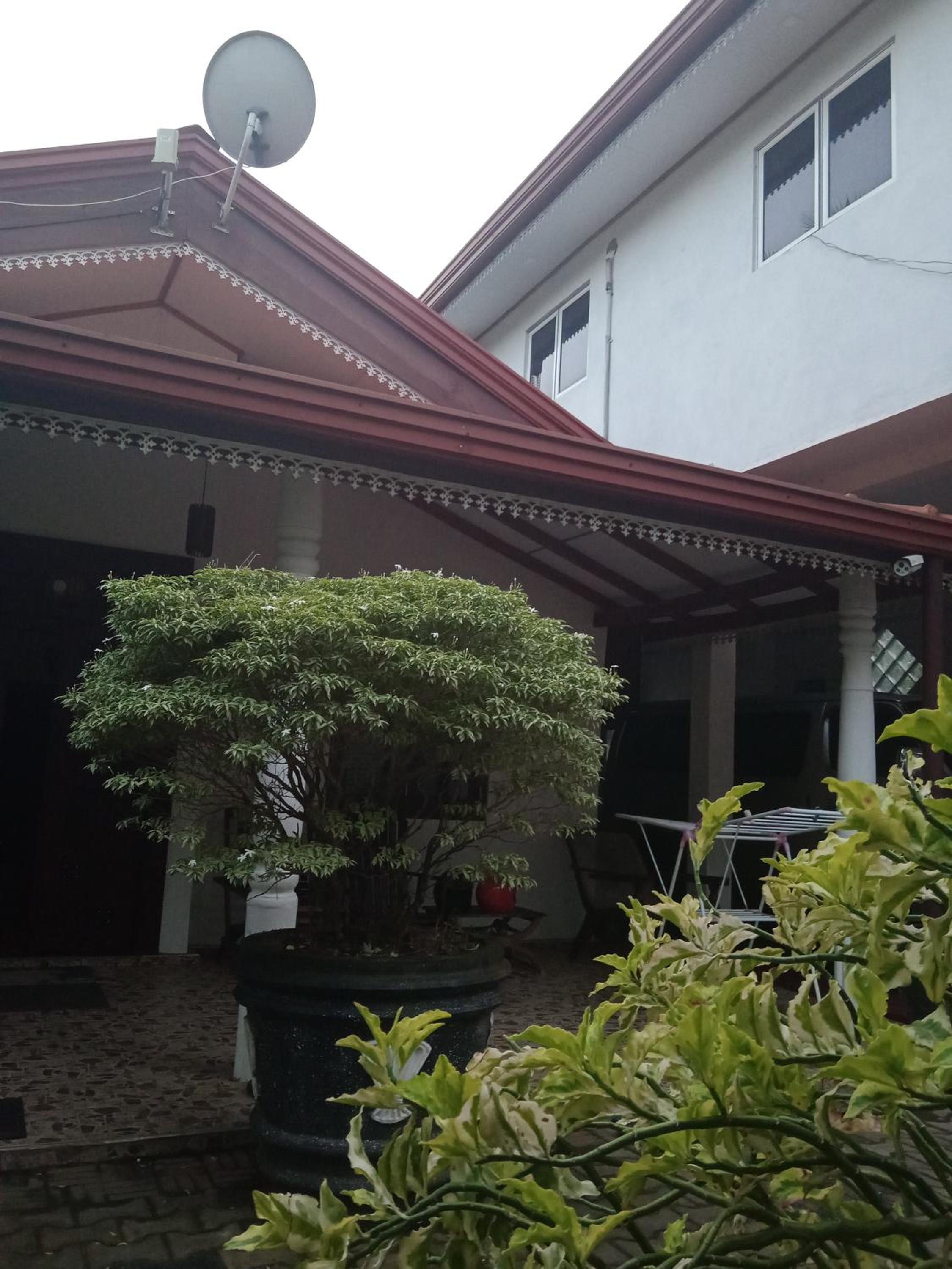 Dream Forest Rest view 2