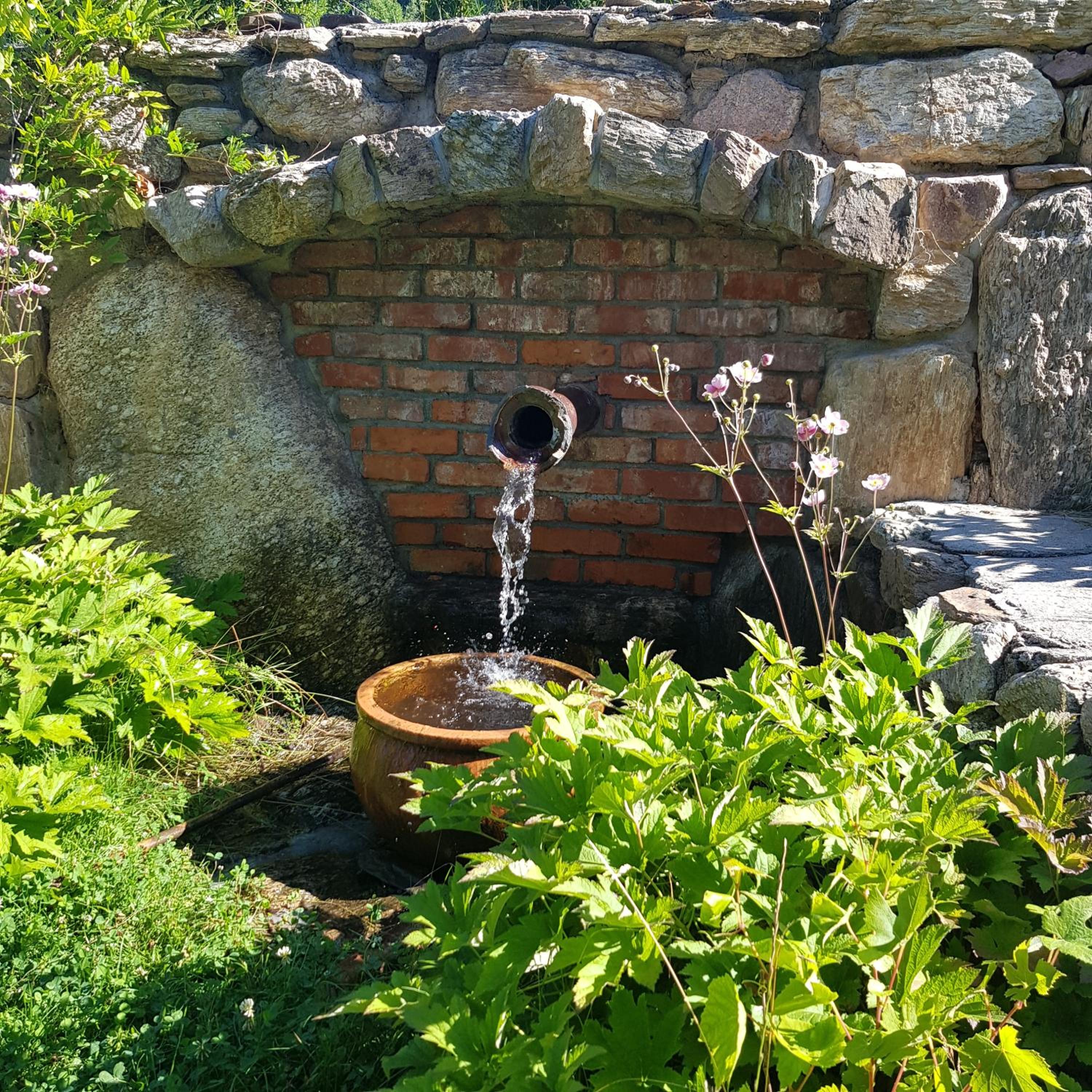 Dom Jesionów view 3