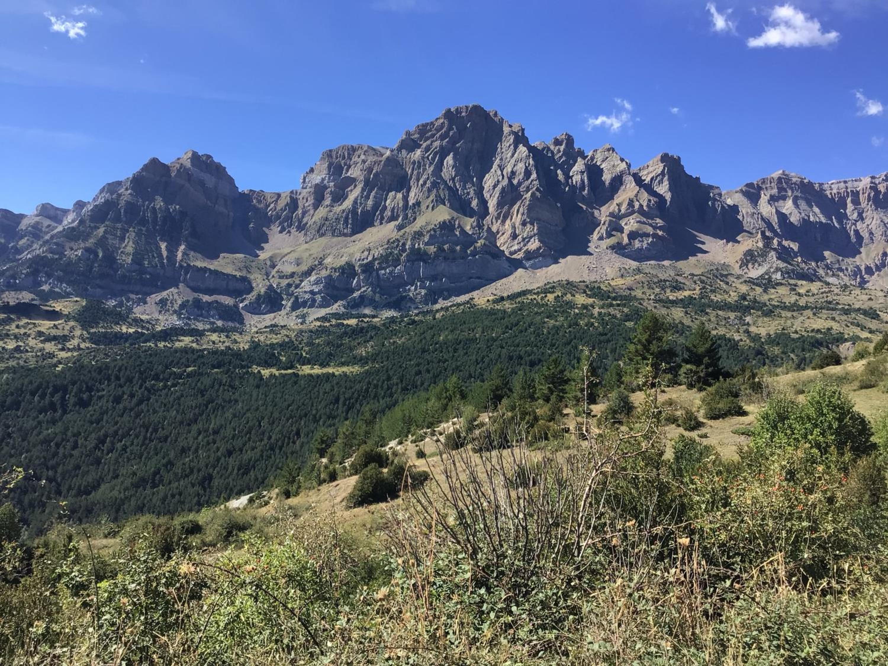 Paso del Onso